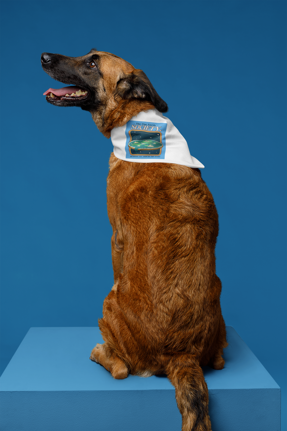 'Flat Earth Society' funny pet bandana in white, dog wearing it on blue backdrop, funny sarcastic gift
