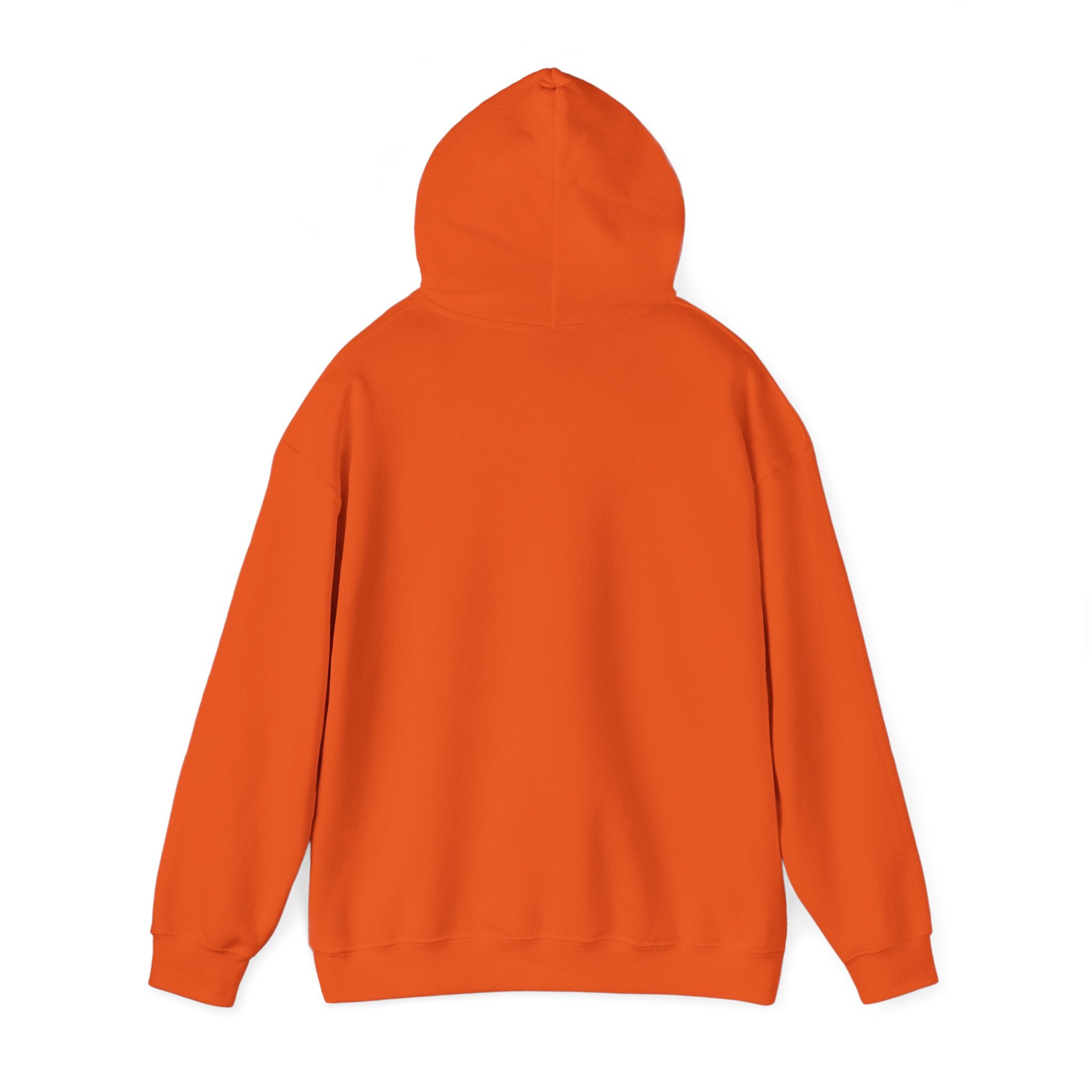 Back view of the "RMRF Problems" hooded sweatshirt in a classic fit and orange color, set against a white background.