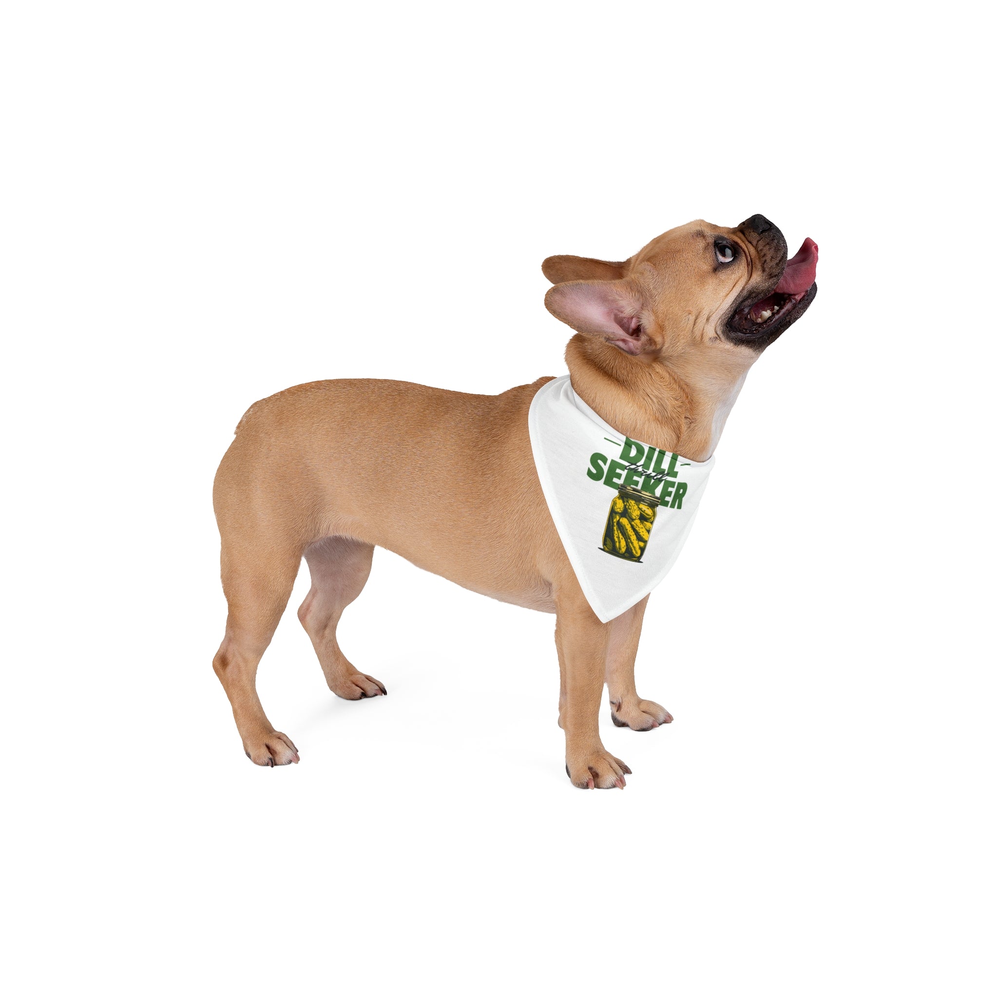 A light brown French Bulldog stands on a white background, sporting the Dill Seeker - Pet Bandana featuring green "Dill Seeker" text and a small pickle graphic for a fun, geek chic look.
