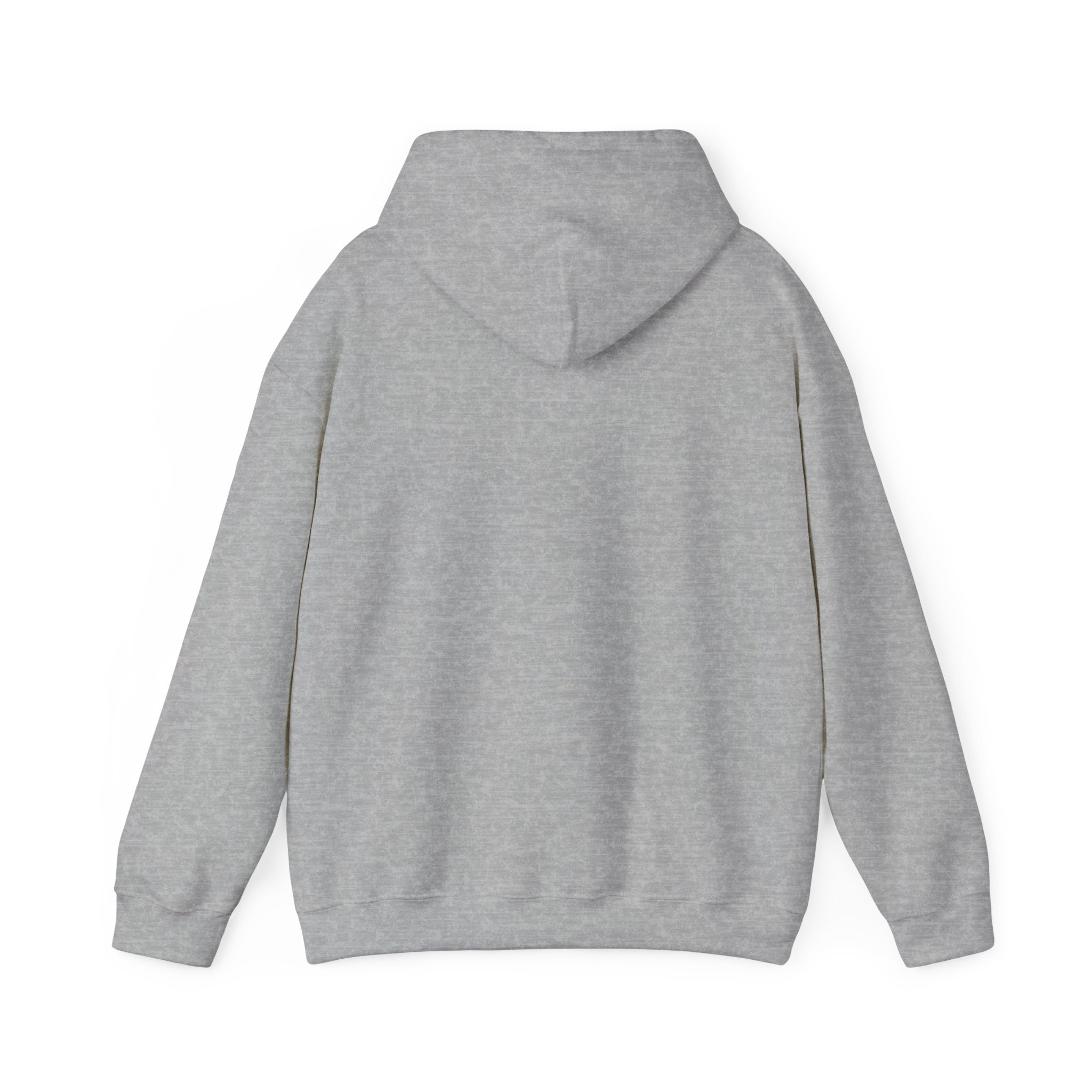 Zero Flux Given - Hooded Sweatshirt
