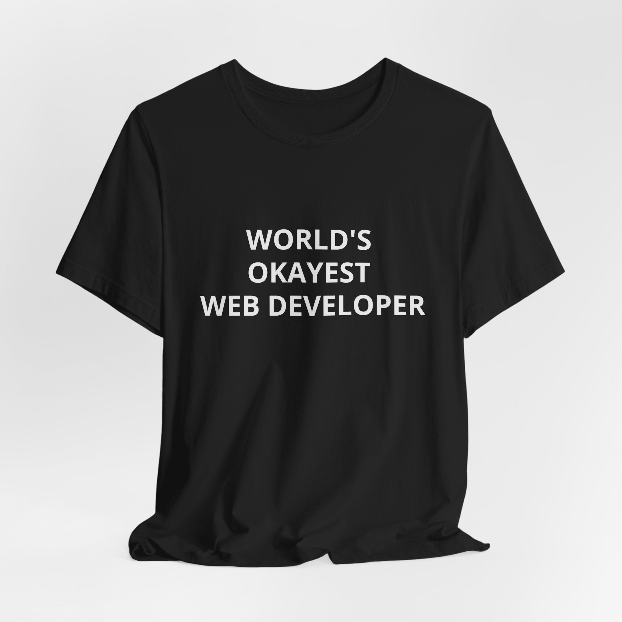 Web Developer Tee - WORLD'S OKAYEST - T Shirt