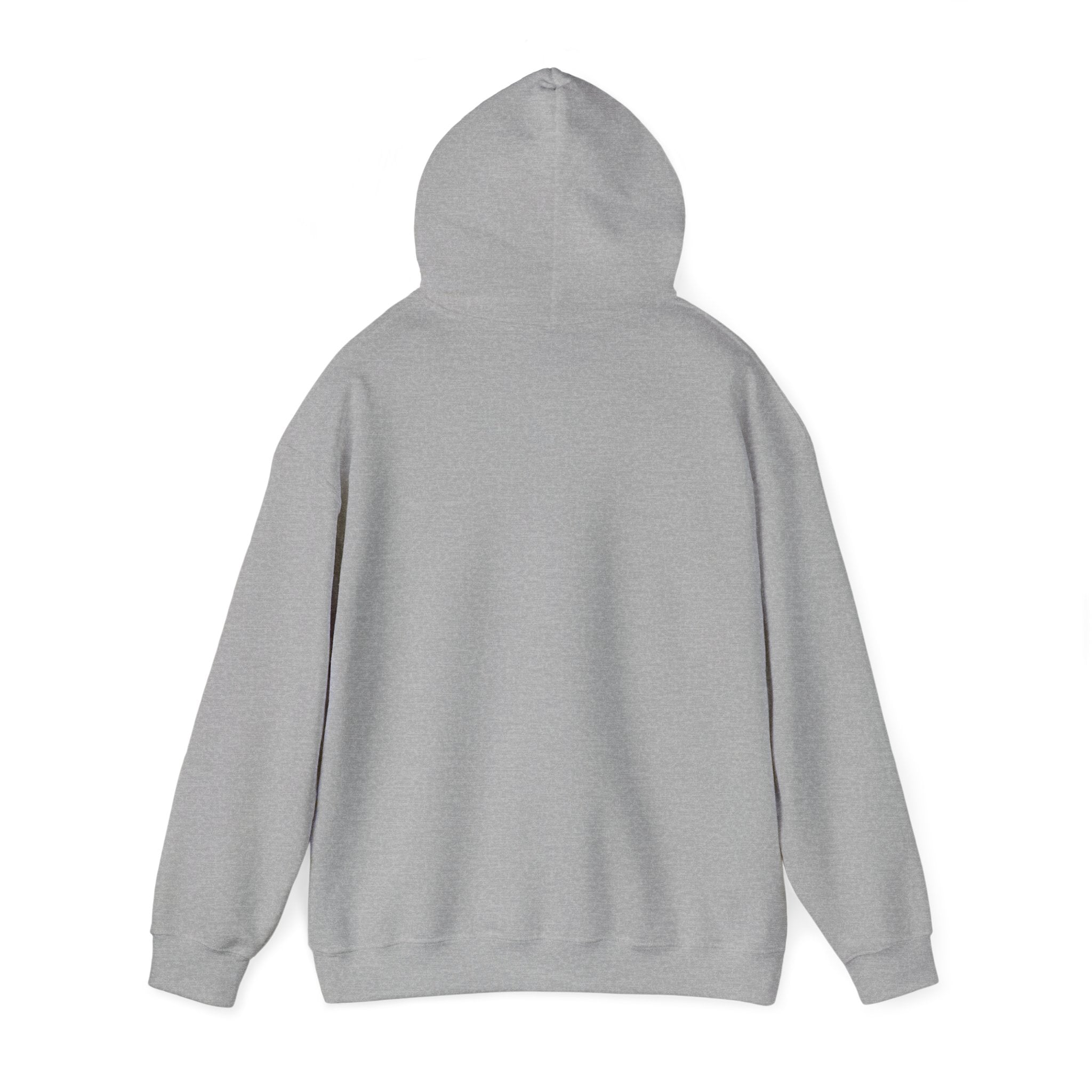 Santa is watching - Hooded Sweatshirt