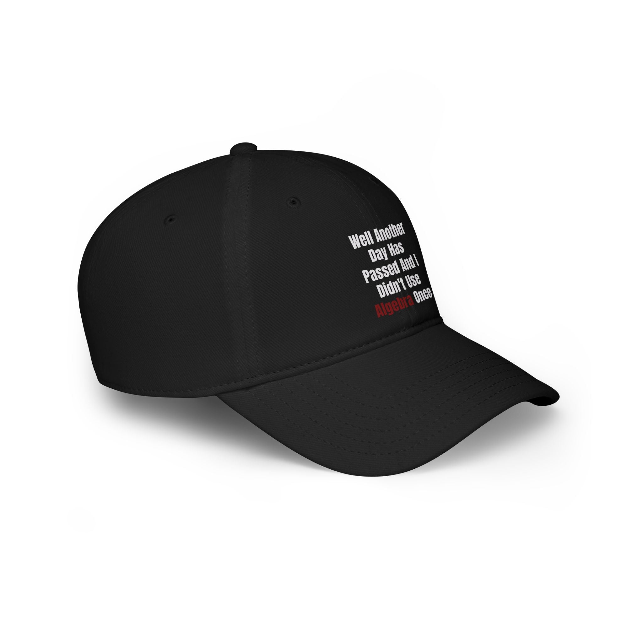 Well Another Day Has Passed - Hat