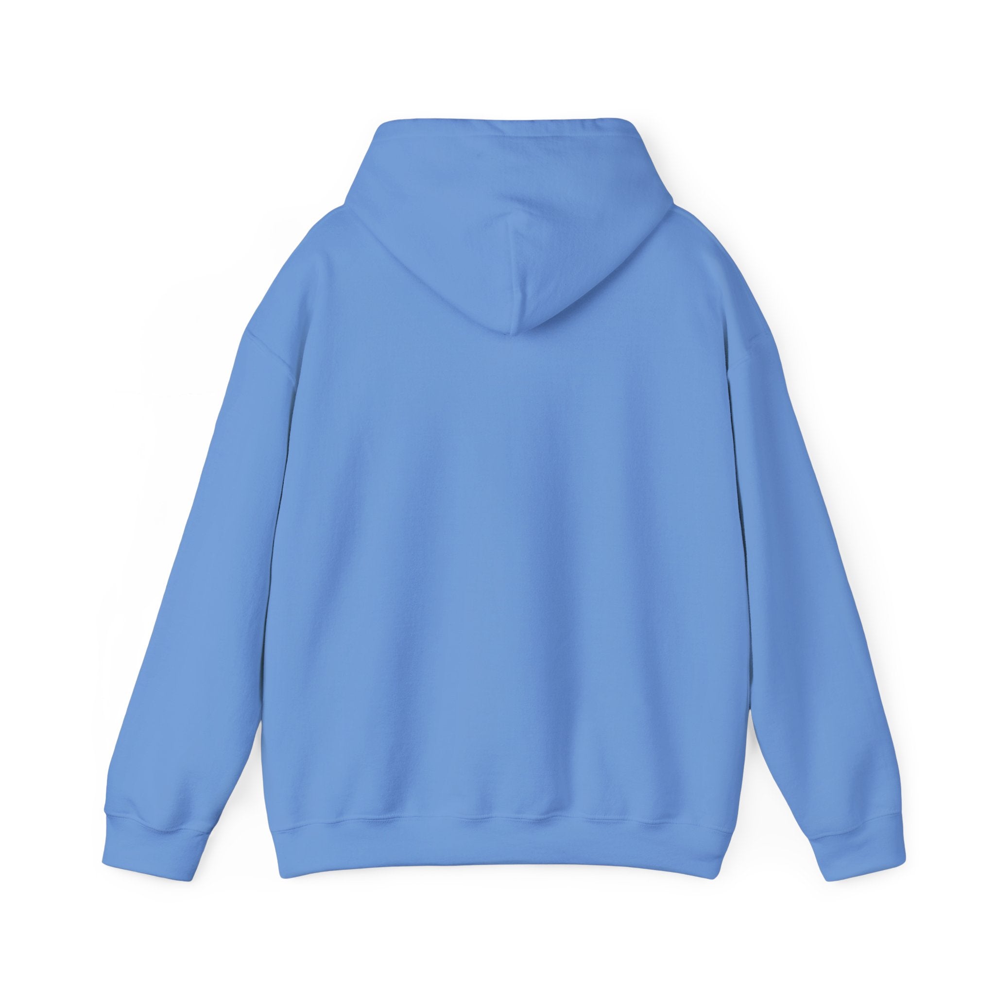 Zero Flux Given - Hooded Sweatshirt