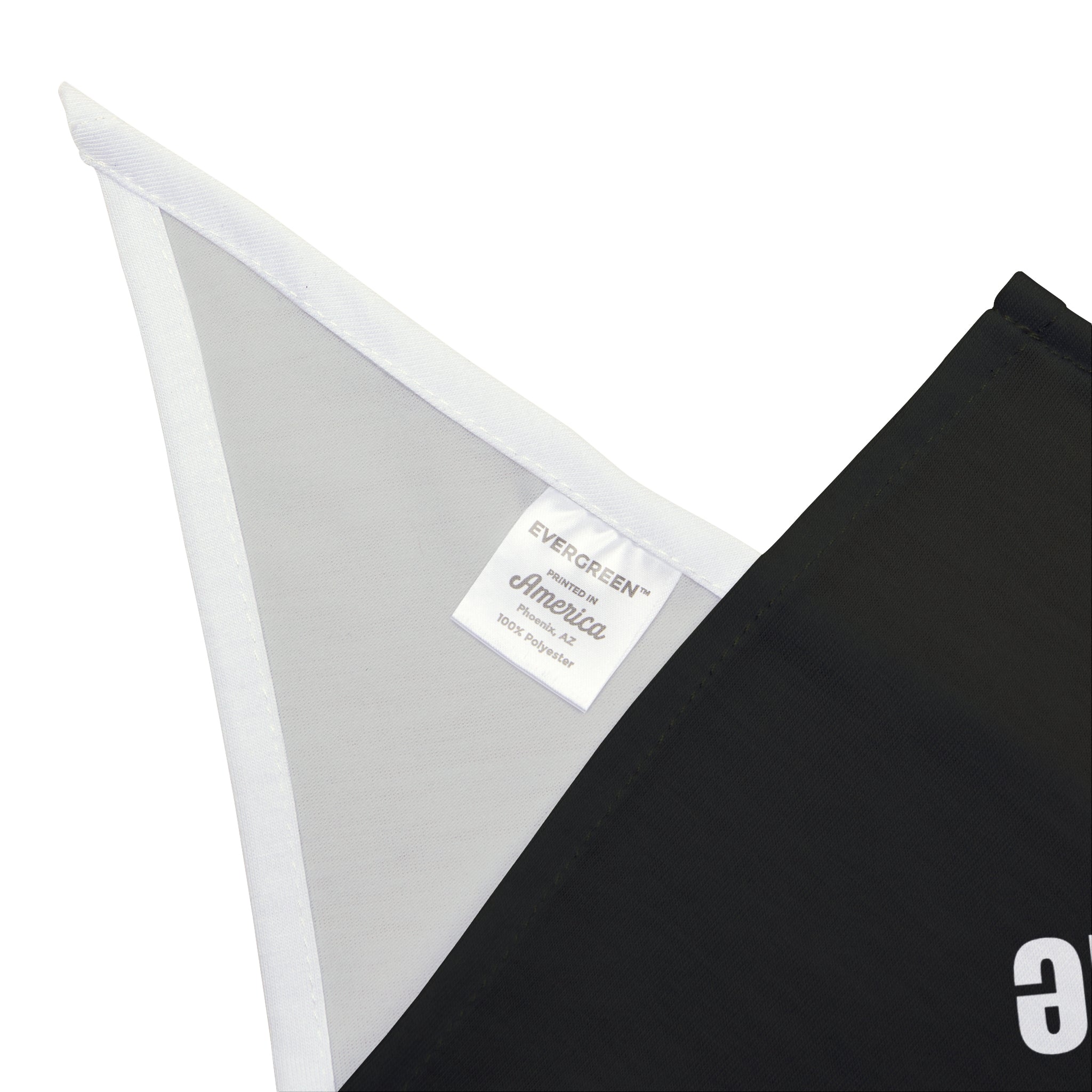 I Like Big Data And I Cannot Lie - Pet Bandana