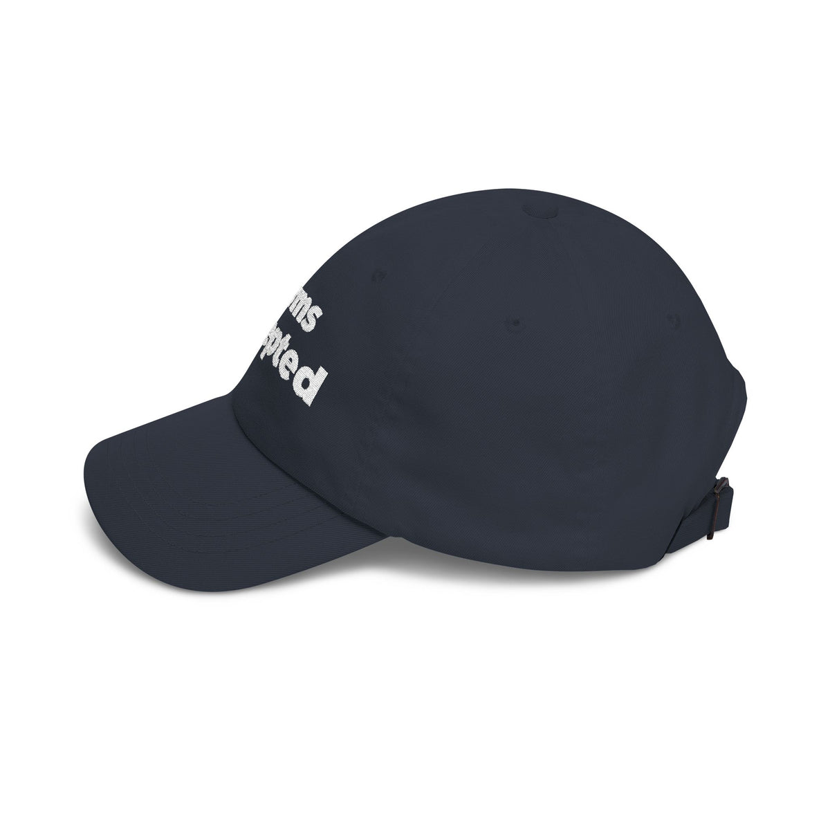 Terms Accepted Dad Cap