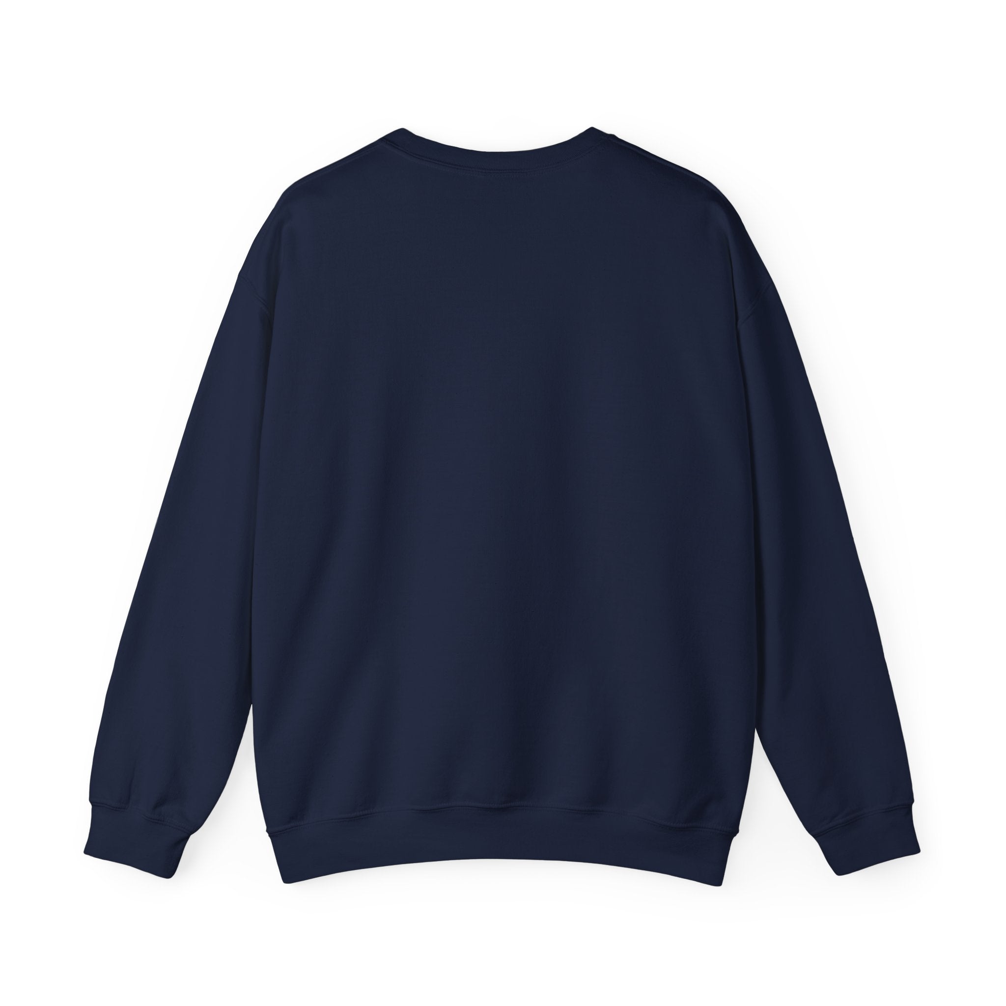 Life is a non linear optimization problem - Sweatshirt