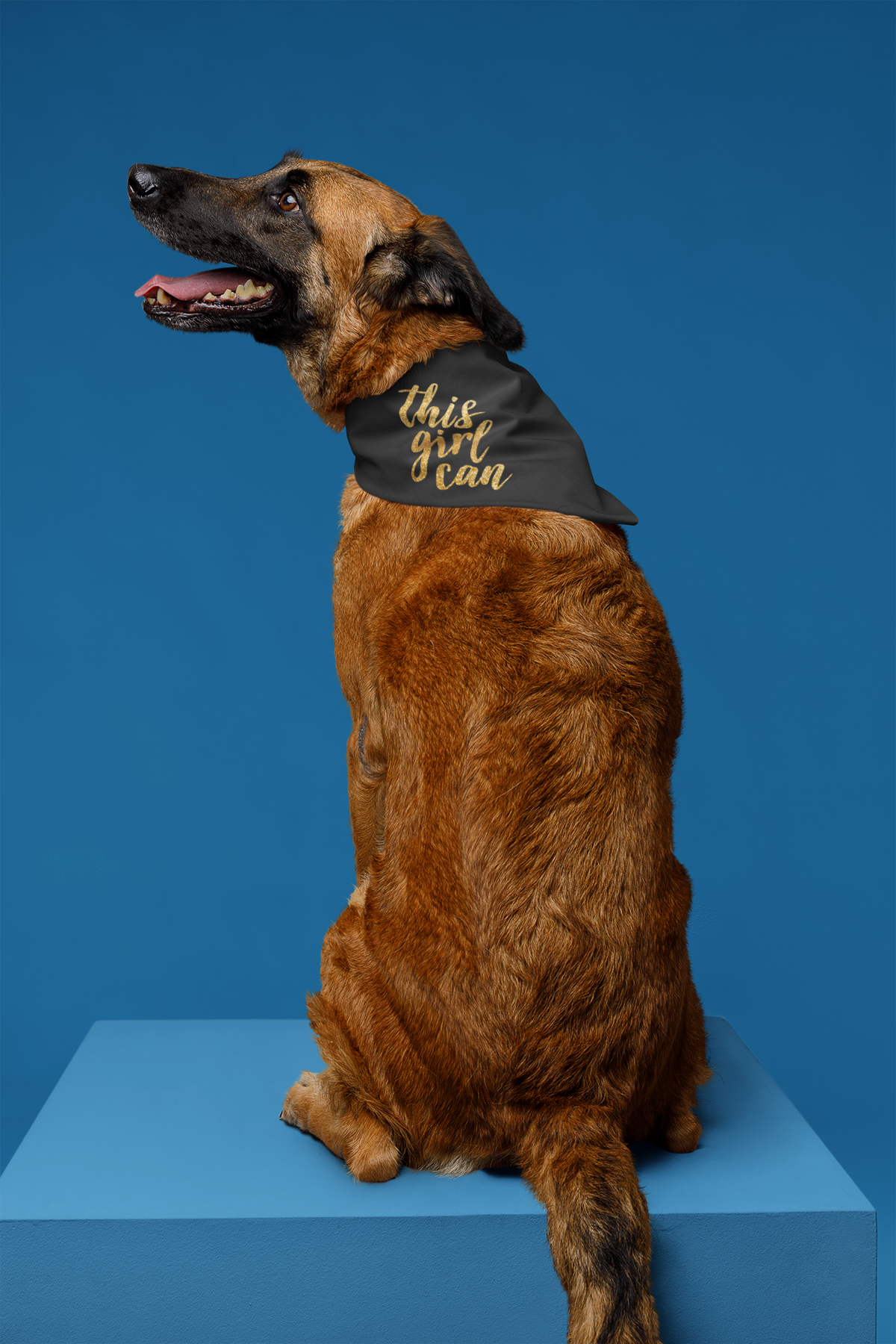 This Girl Can Pet Bandana, plain background shot with the full printed design visible.