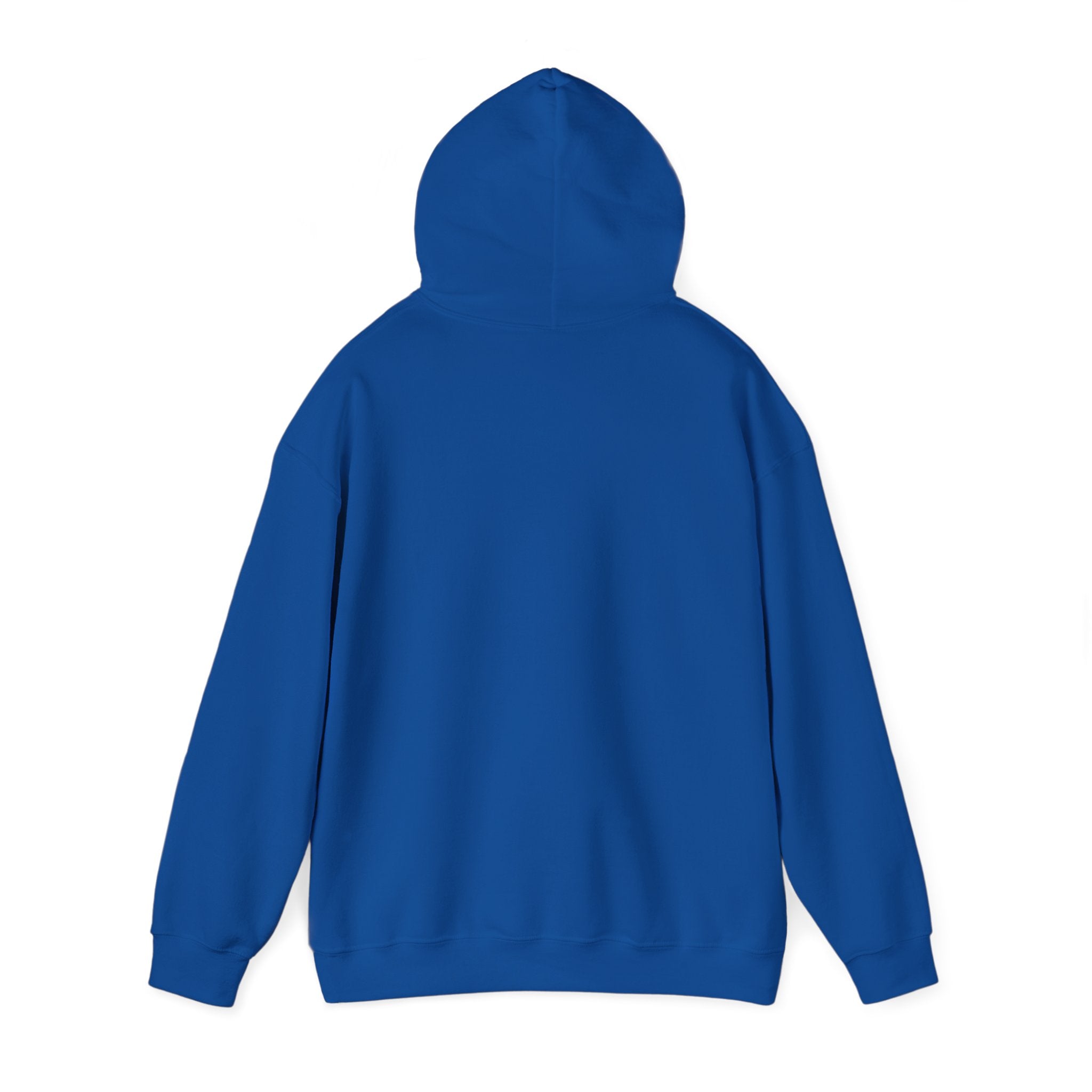 Zero Flux Given - Hooded Sweatshirt