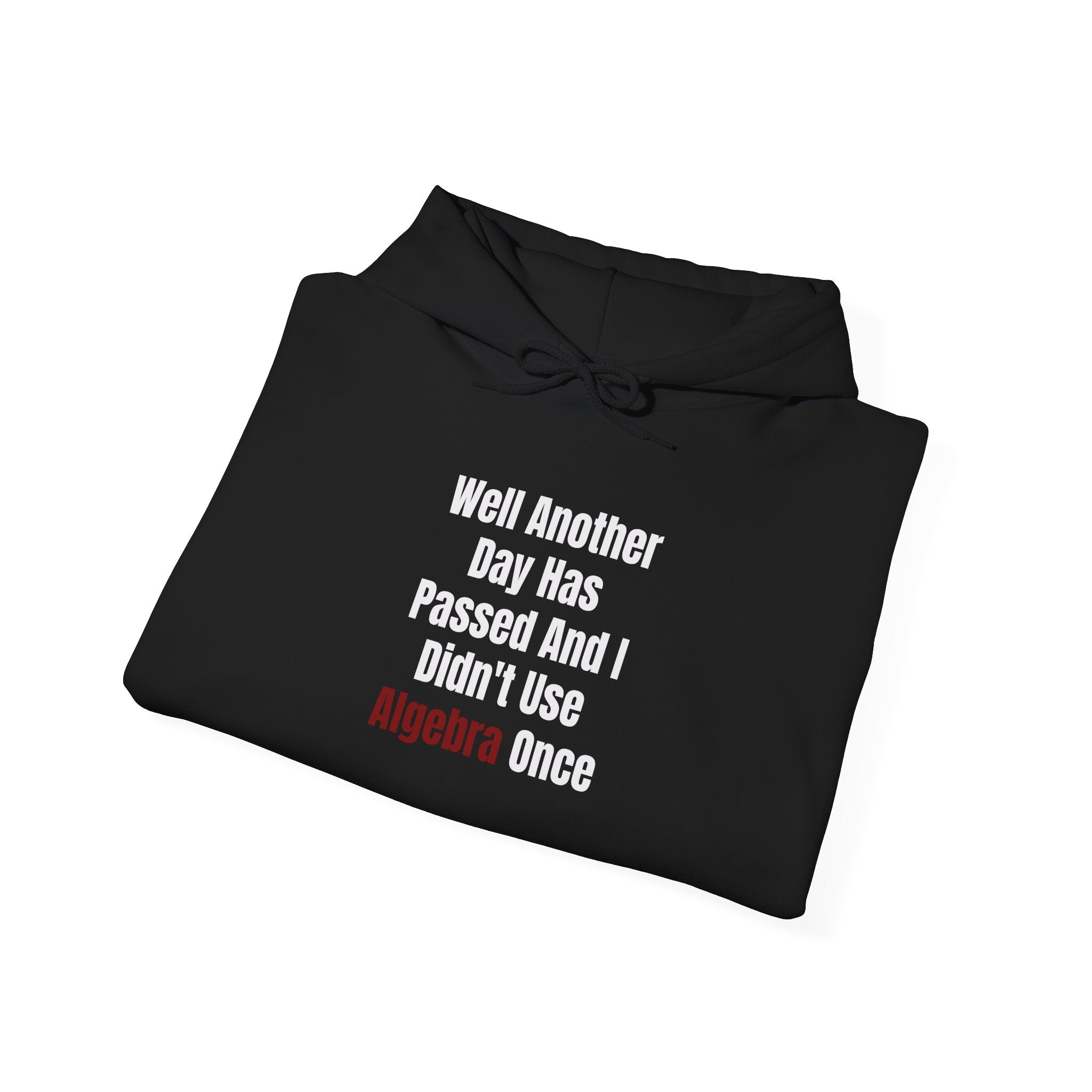 Well Another Day Has Passed - Hooded Sweatshirt
