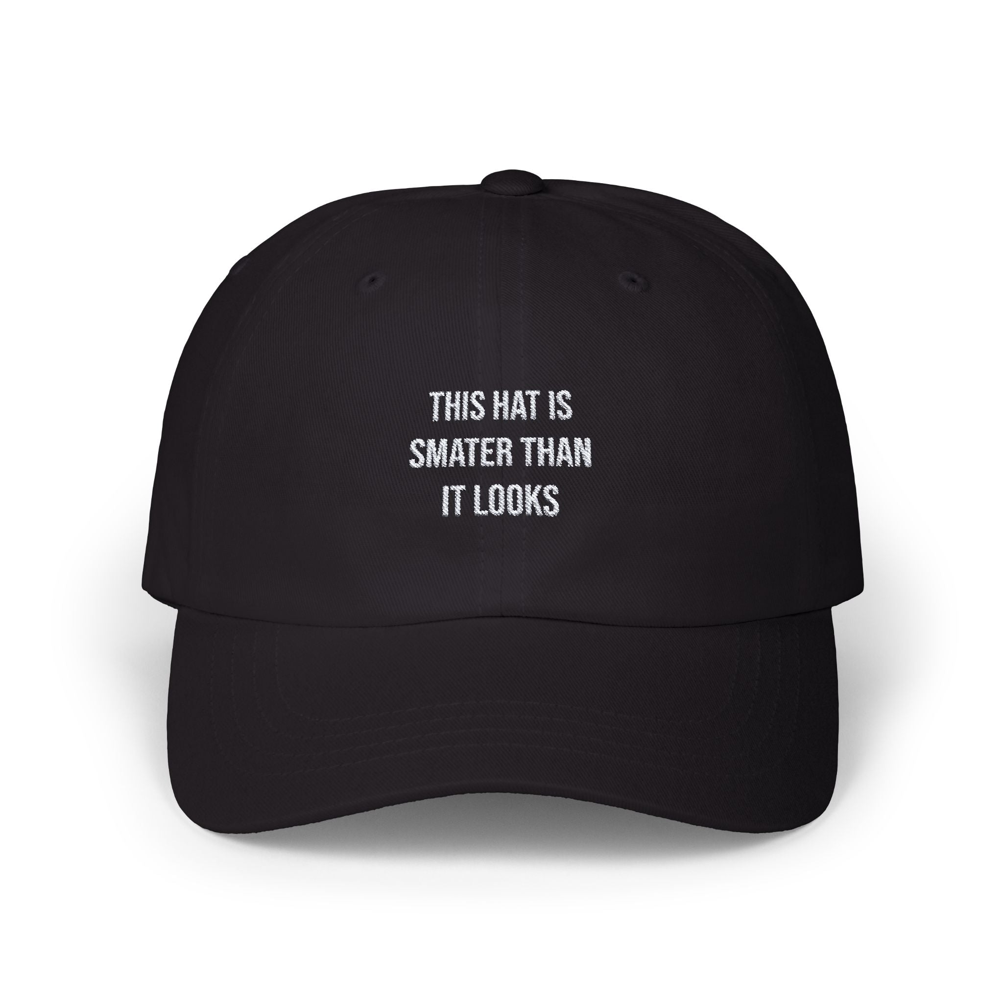 THIS HAT IS SMATER THAN IT LOOKS - embroidery hat