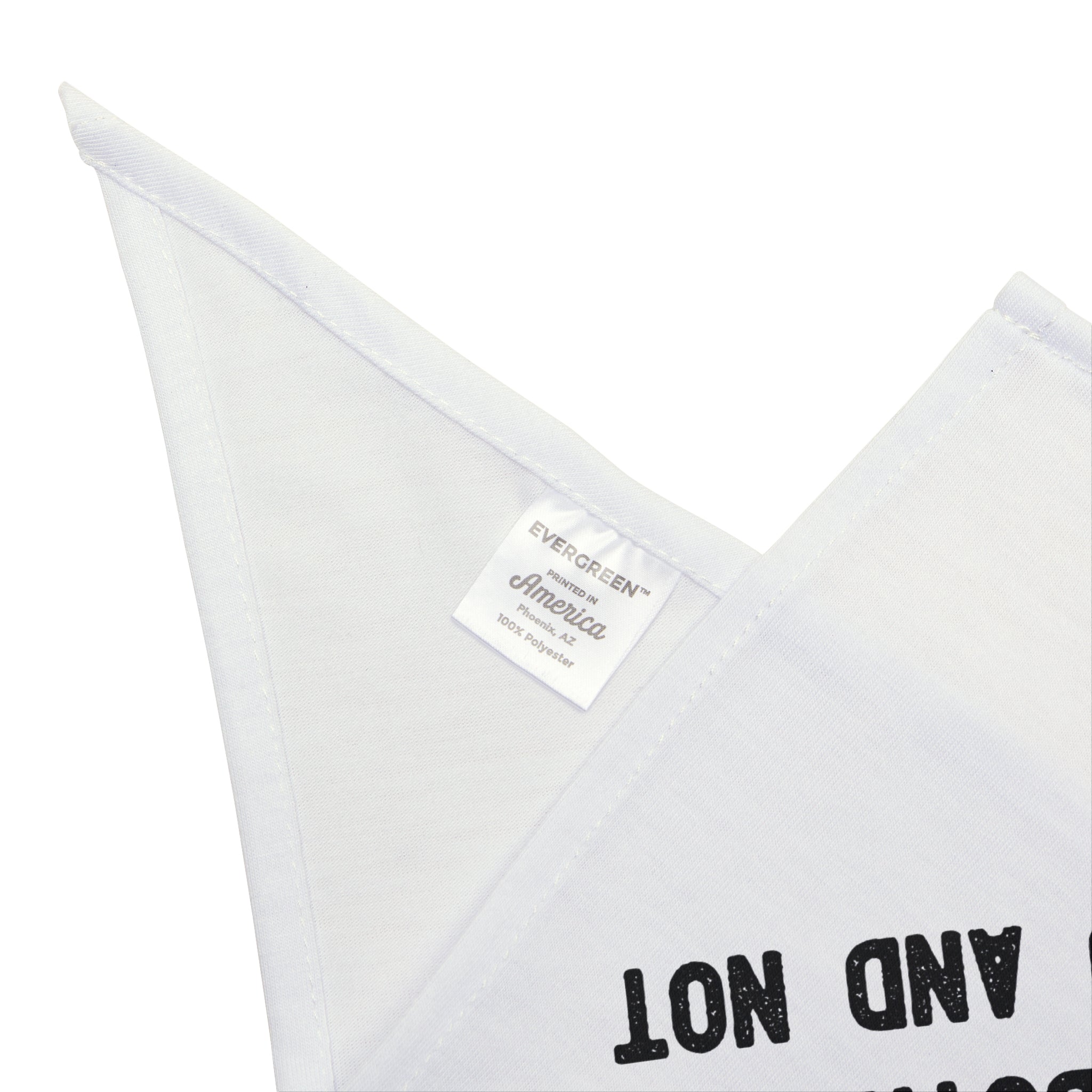 Schrodingers Shirt - Pet Bandana