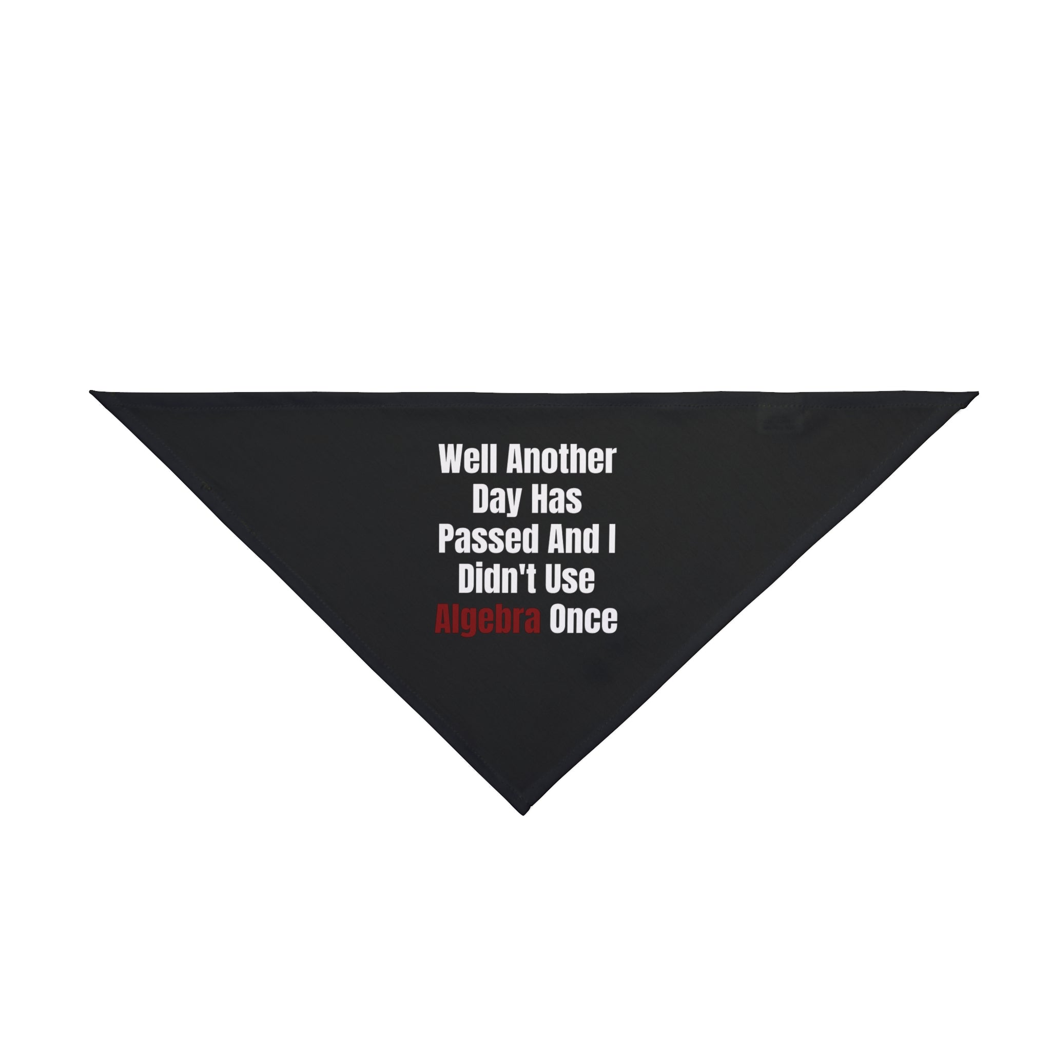 Well Another Day Has Passed - Pet Bandana