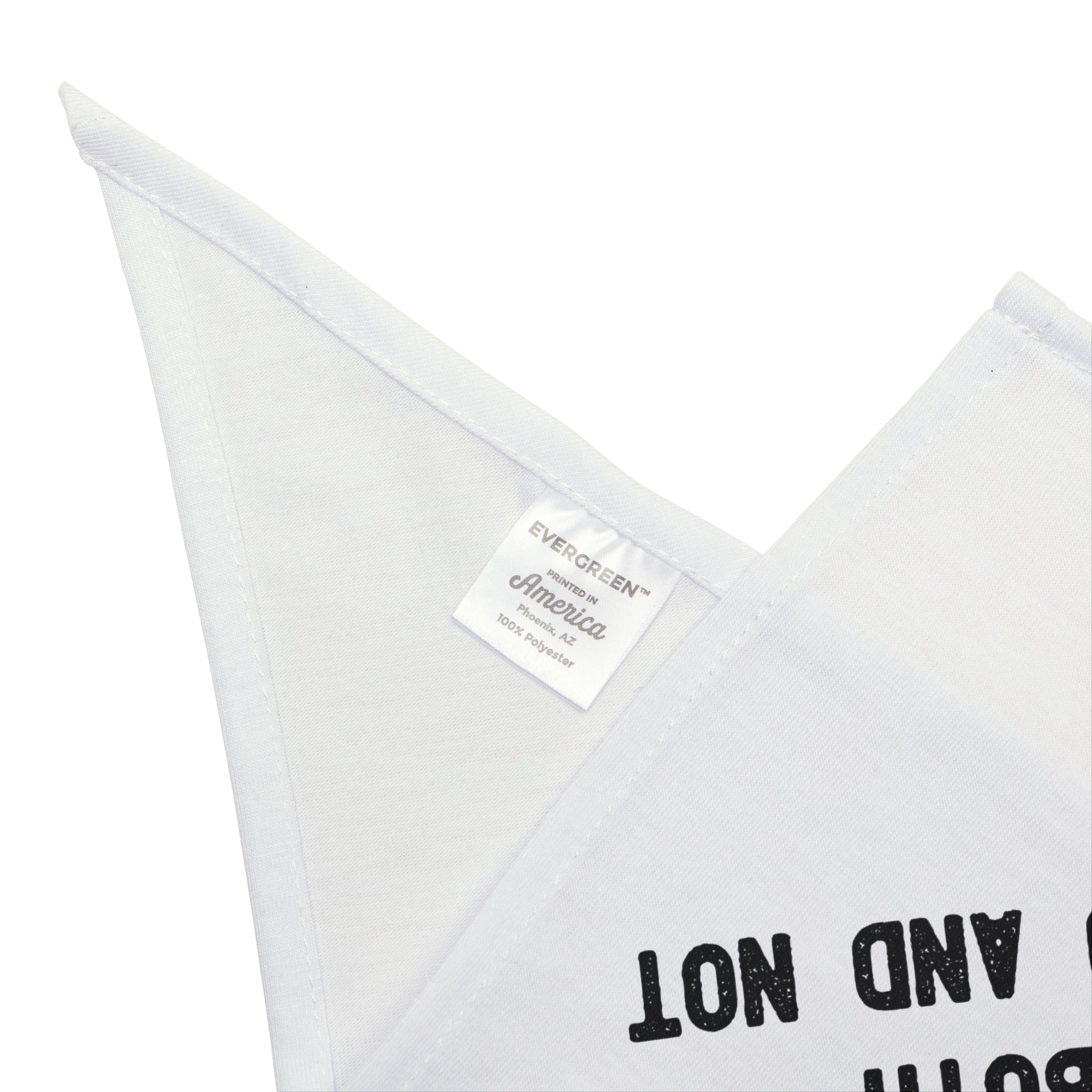 Schrodingers Shirt - Pet Bandana