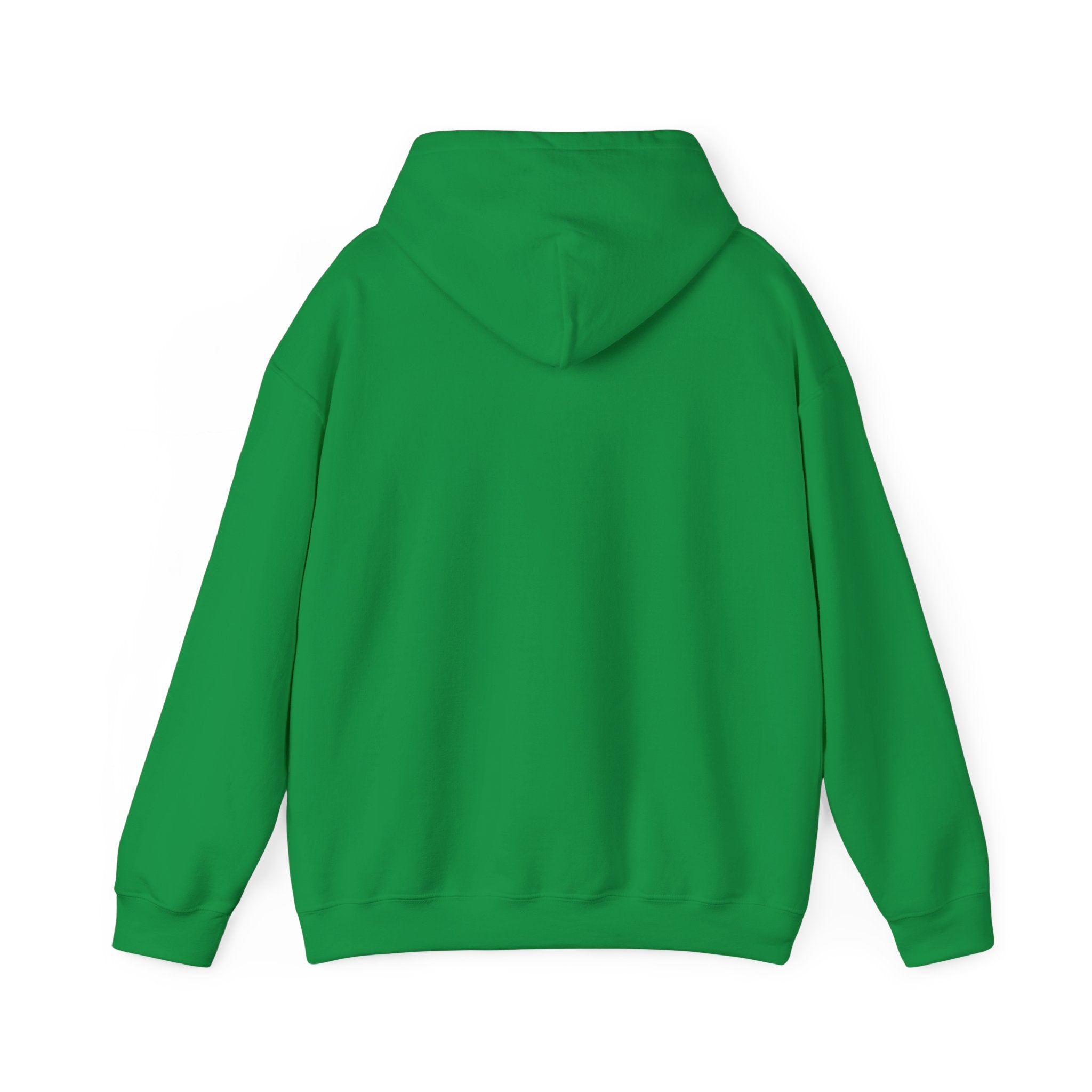 Zero Flux Given - Hooded Sweatshirt