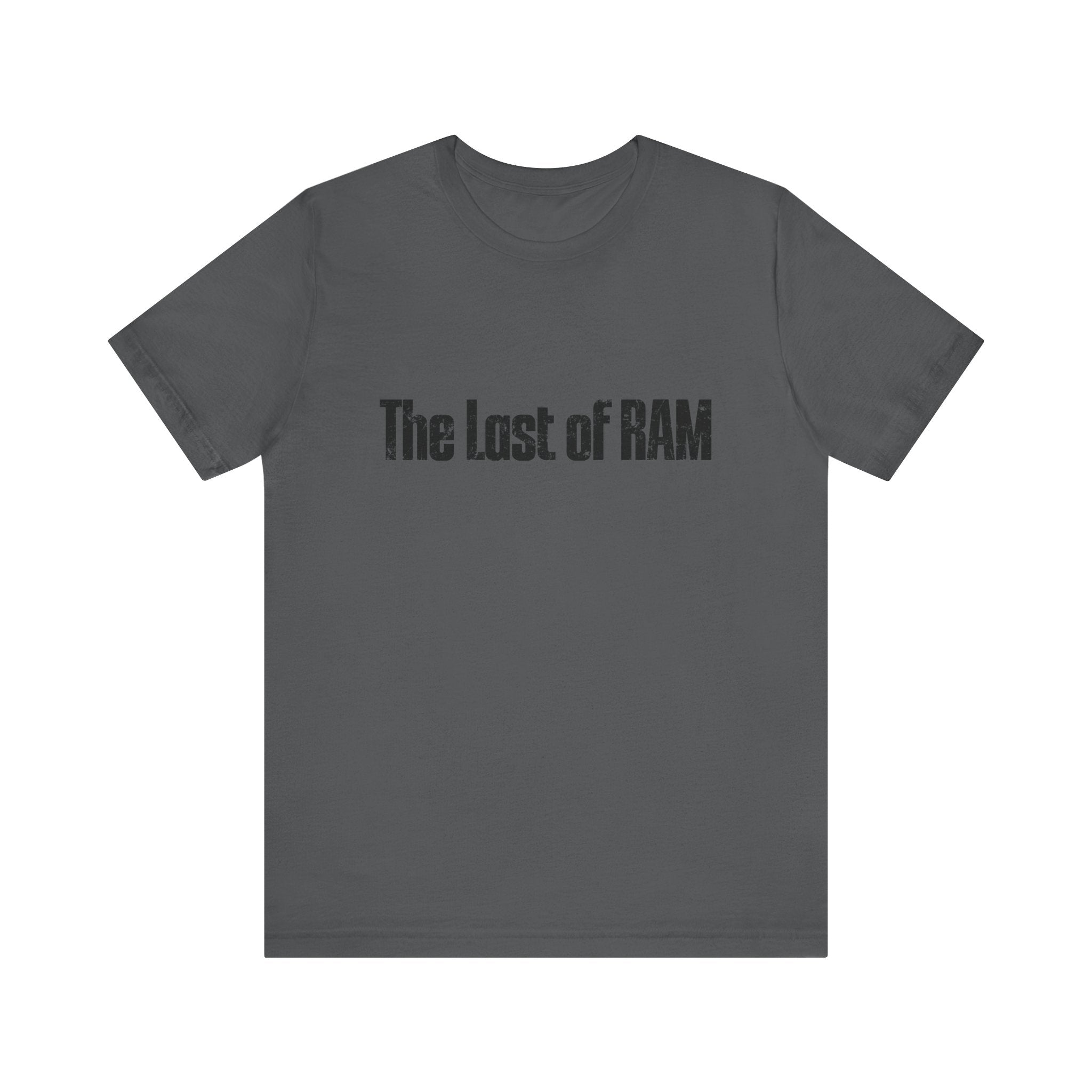 Rock geek chic with "The Last of RAM" T-shirt. This grey tee, featuring bold central text, is perfect for stylishly comfortable nerdy nights.