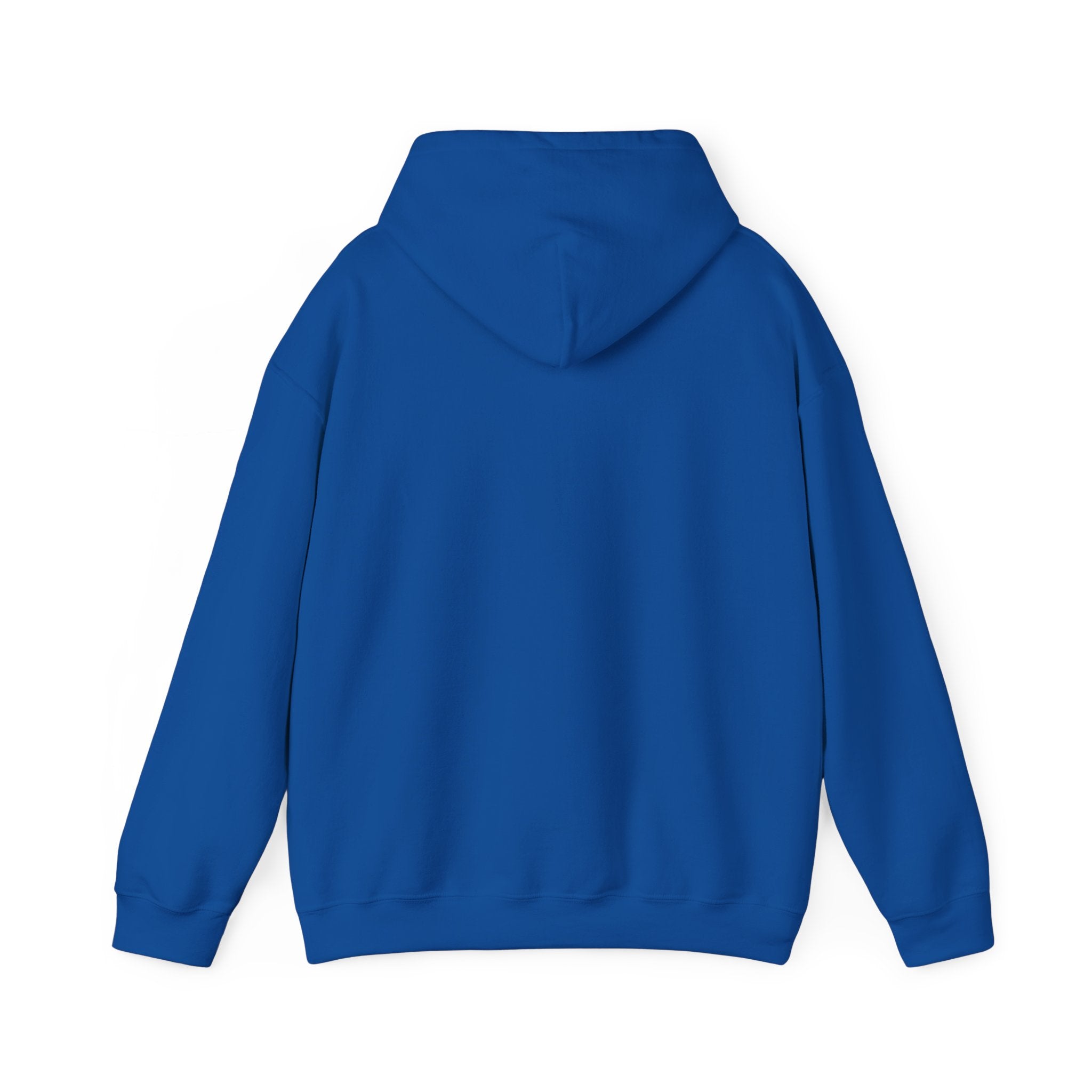 Zero Flux Given - Hooded Sweatshirt
