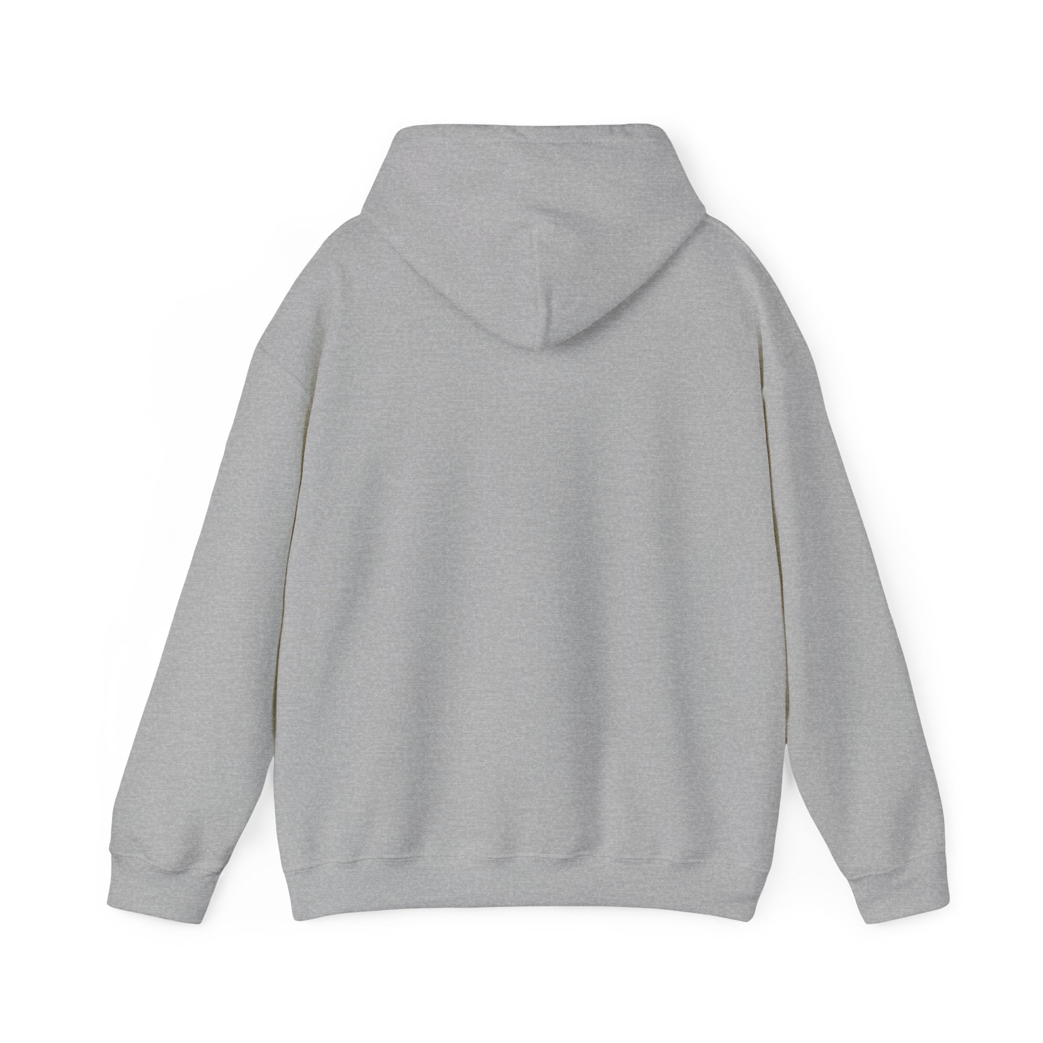 Santa is watching - Hooded Sweatshirt