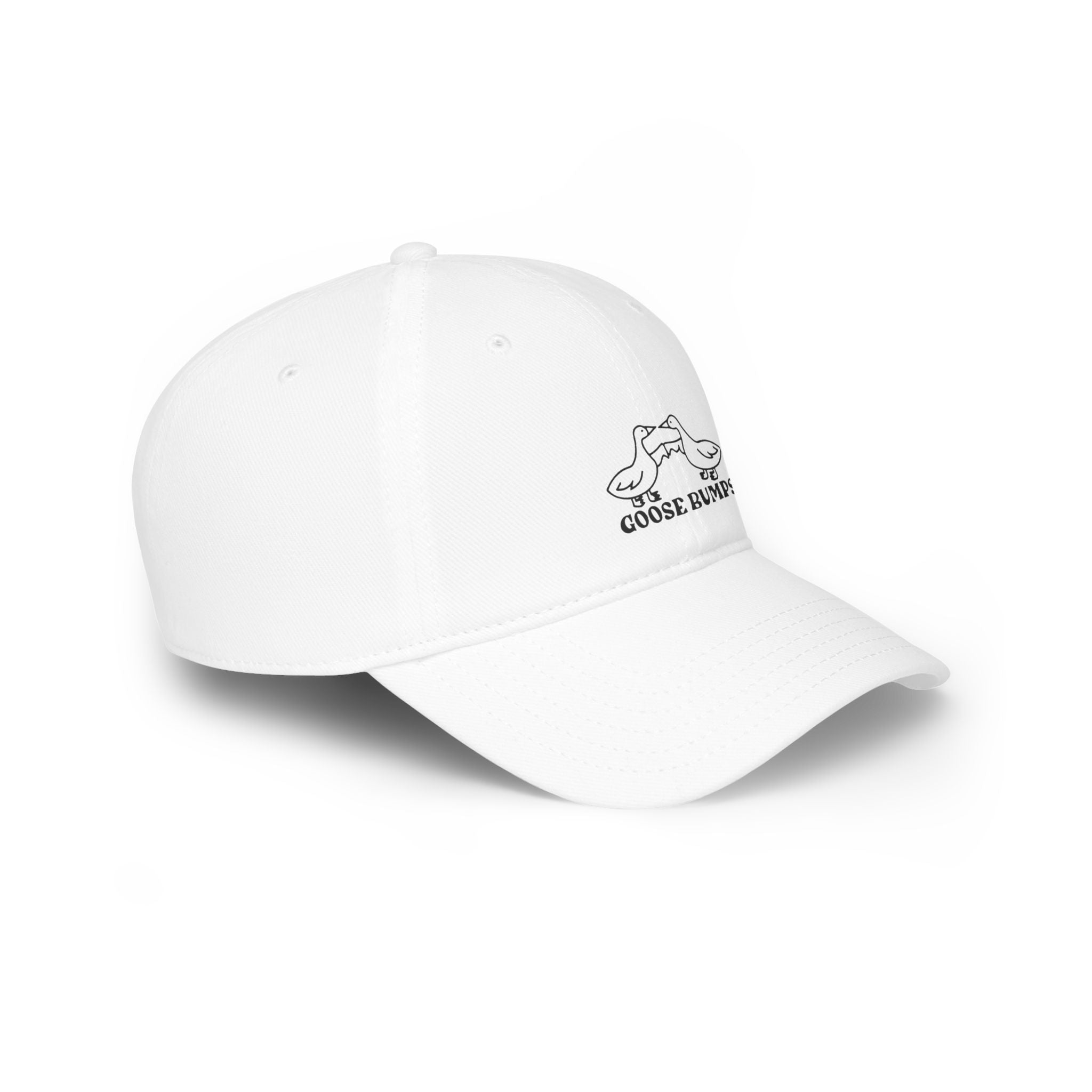 Goose Bumps - Hat