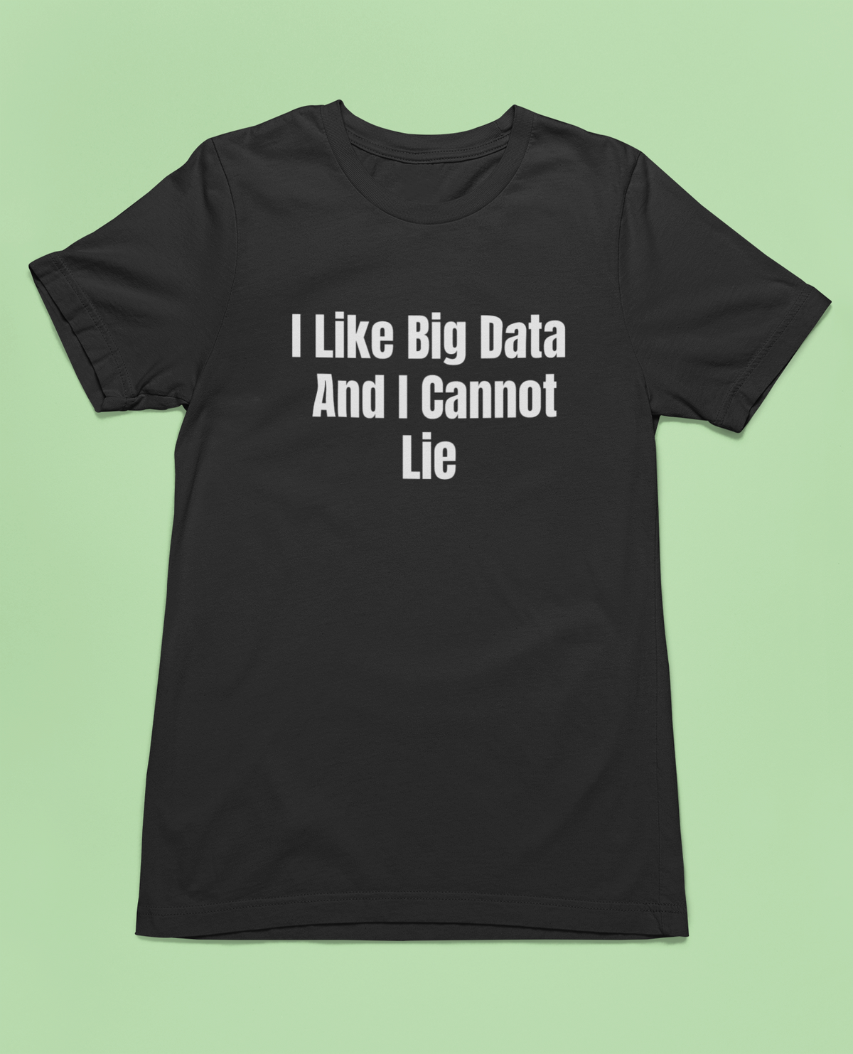'I Like Big Data And I Cannot Lie' T-Shirt in black, flat lay on green backdrop, funny data scientist gift