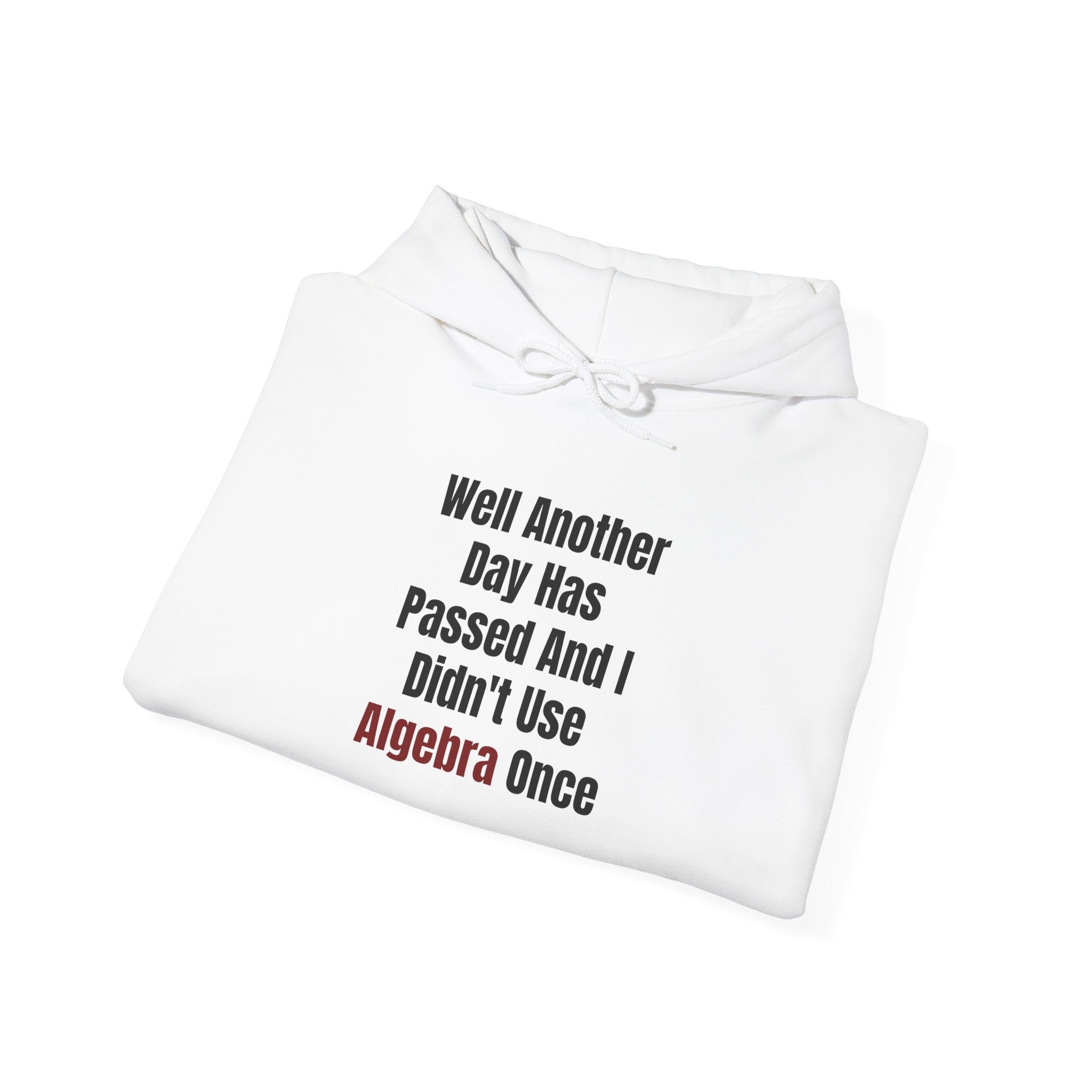 Well Another Day Has Passed Black - Hooded Sweatshirt