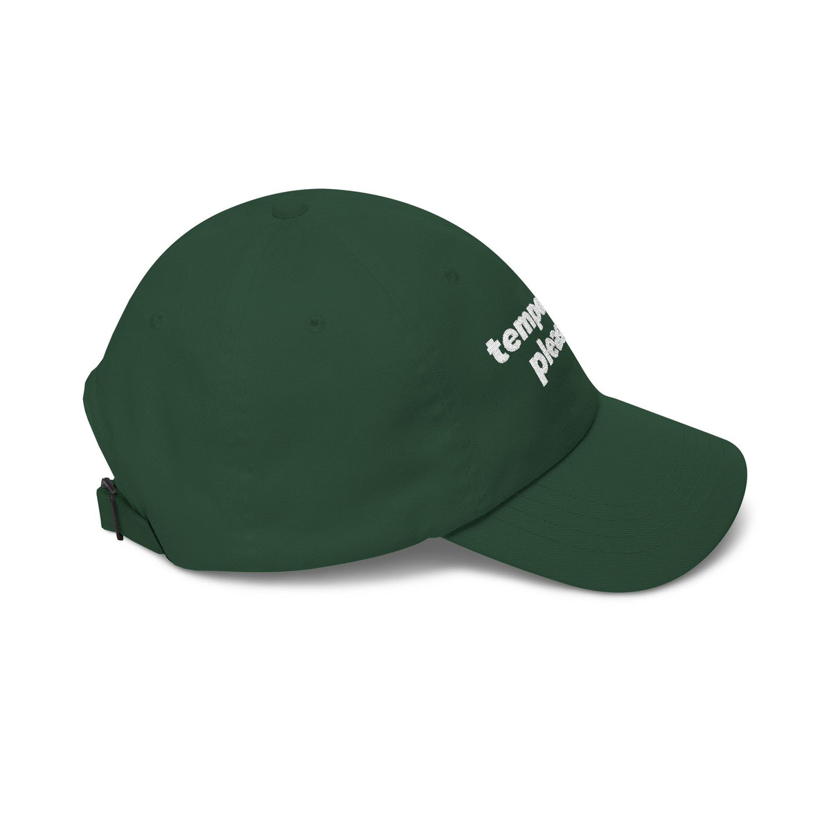 Temporarily Pleasant Dad Cap