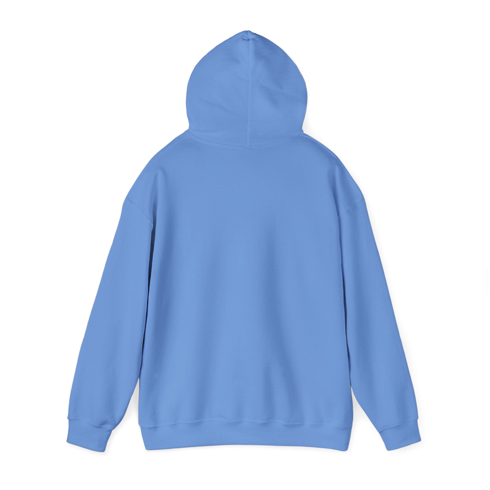 Zero Flux Given - Hooded Sweatshirt