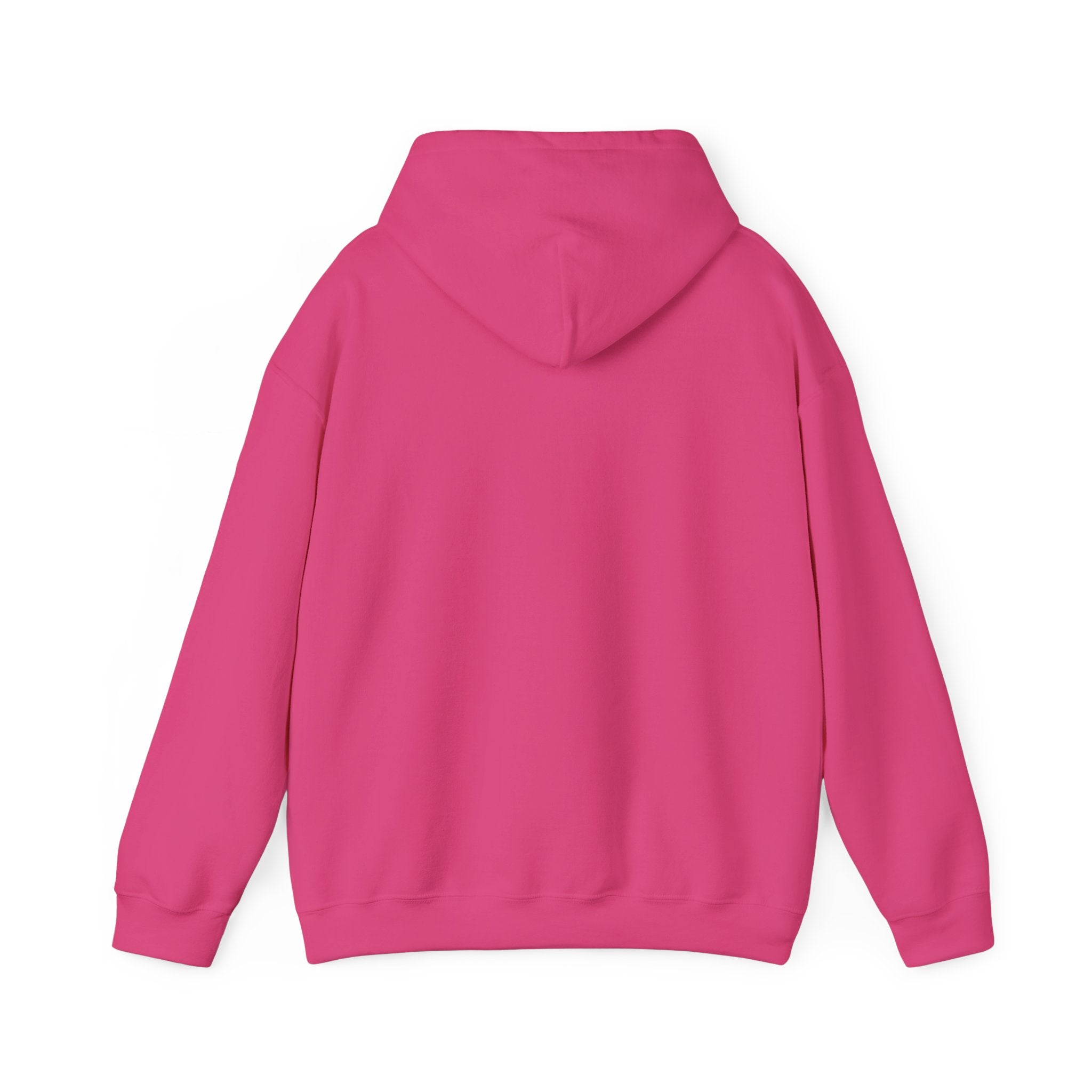 Zero Flux Given - Hooded Sweatshirt