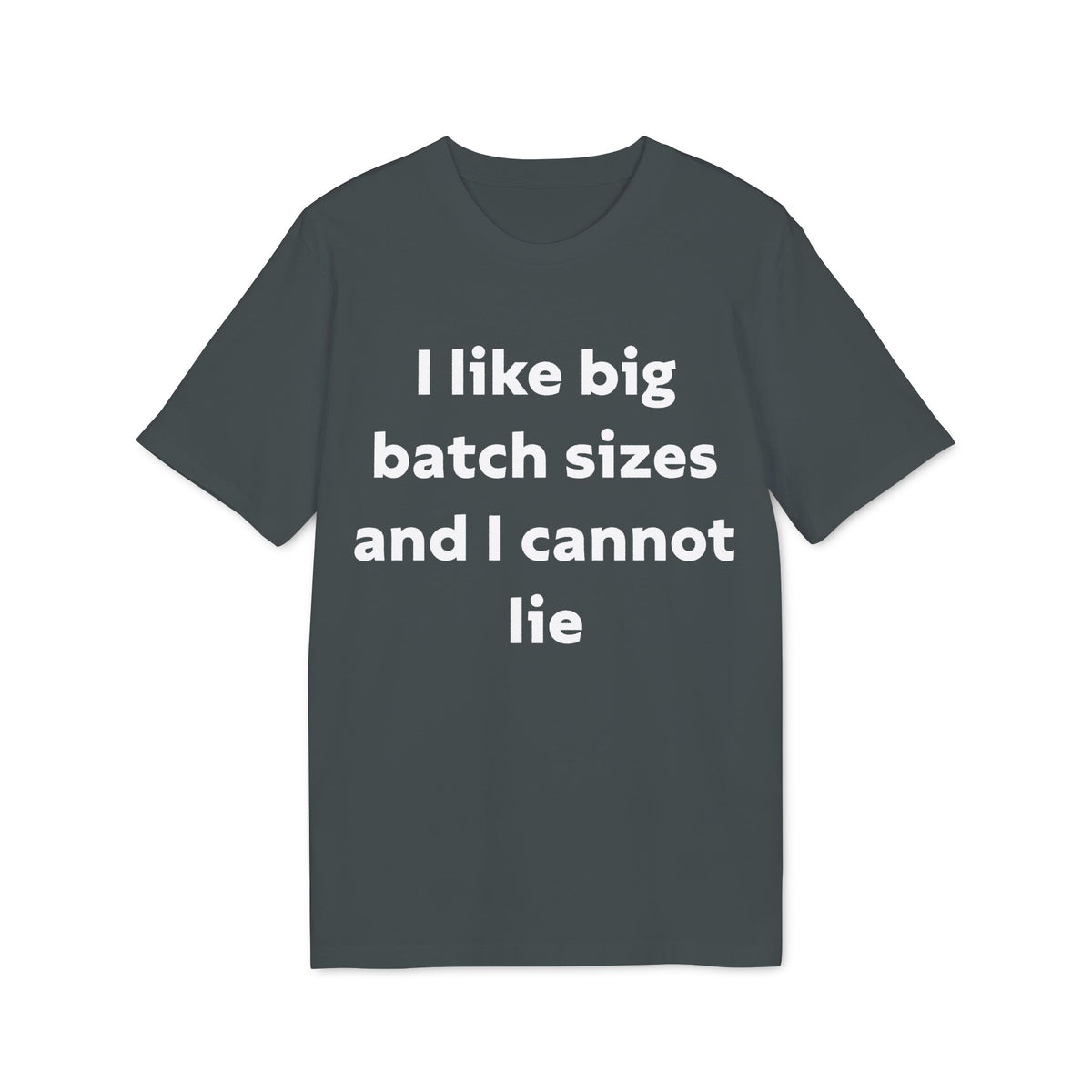 I Like Big Batch Sizes and I Cannot Lie Organic Tee