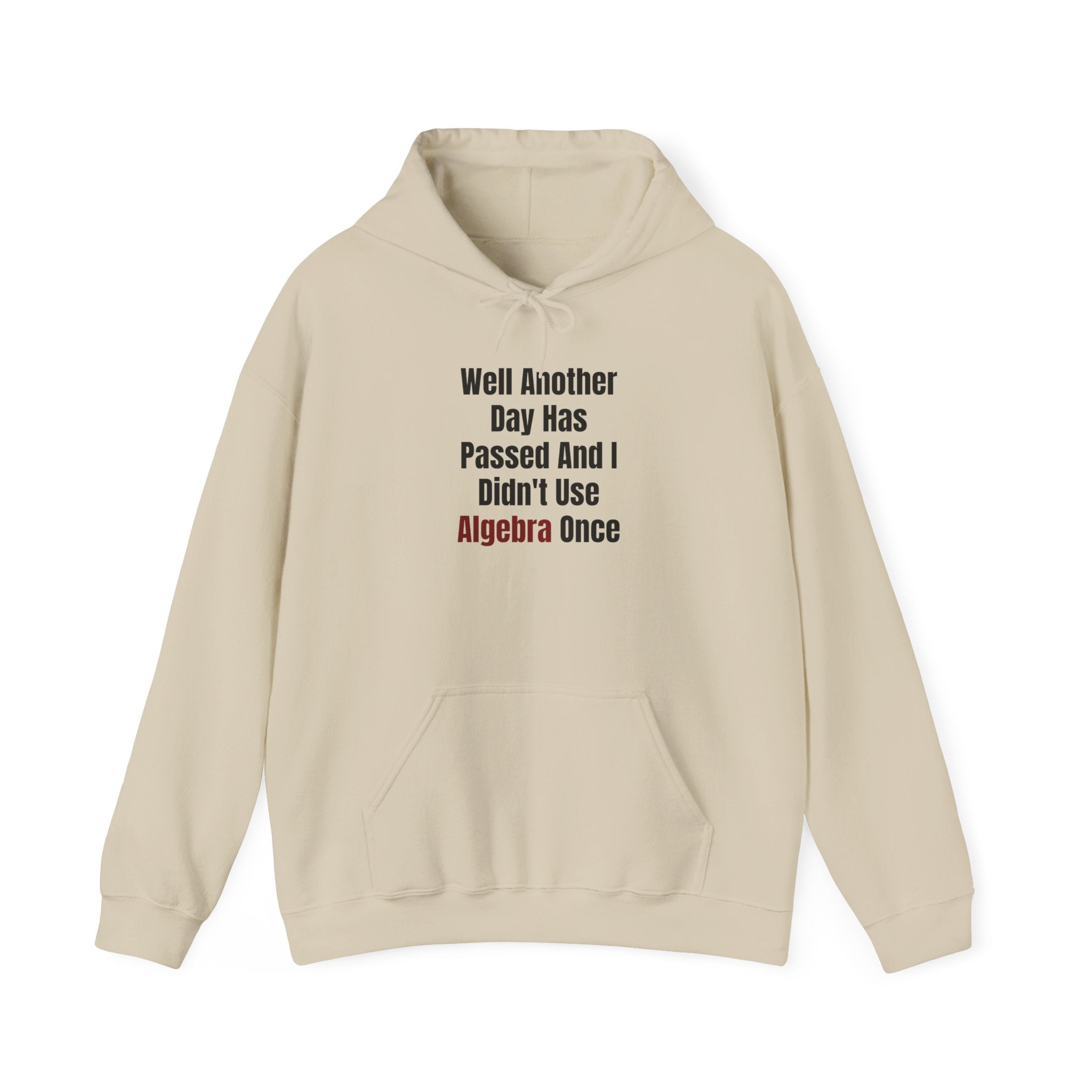 Well Another Day Has Passed Black - Hooded Sweatshirt