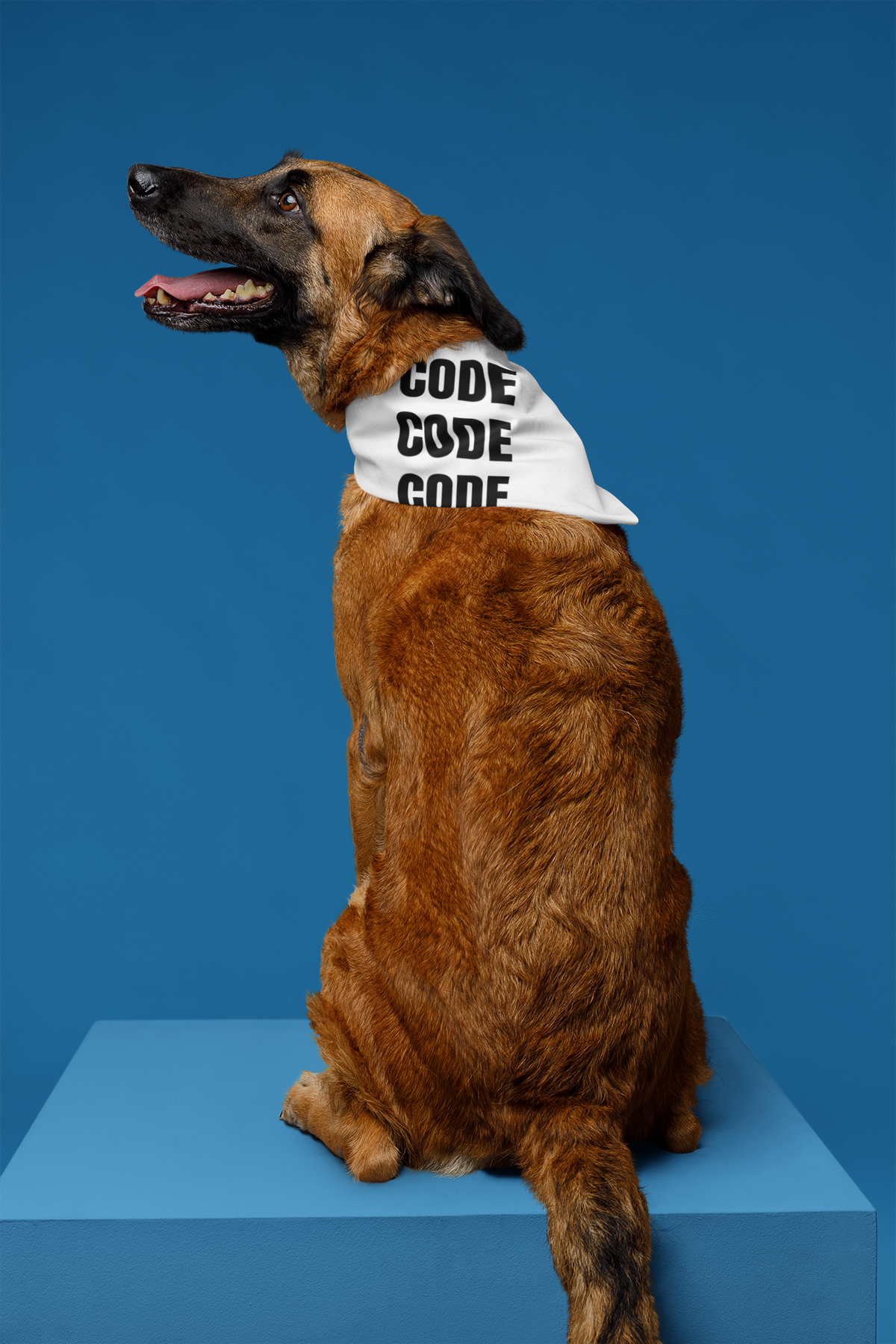 "Code Code Code" pet bandana in white, dog sitting on blue studio backdrop, funny coder pet gift