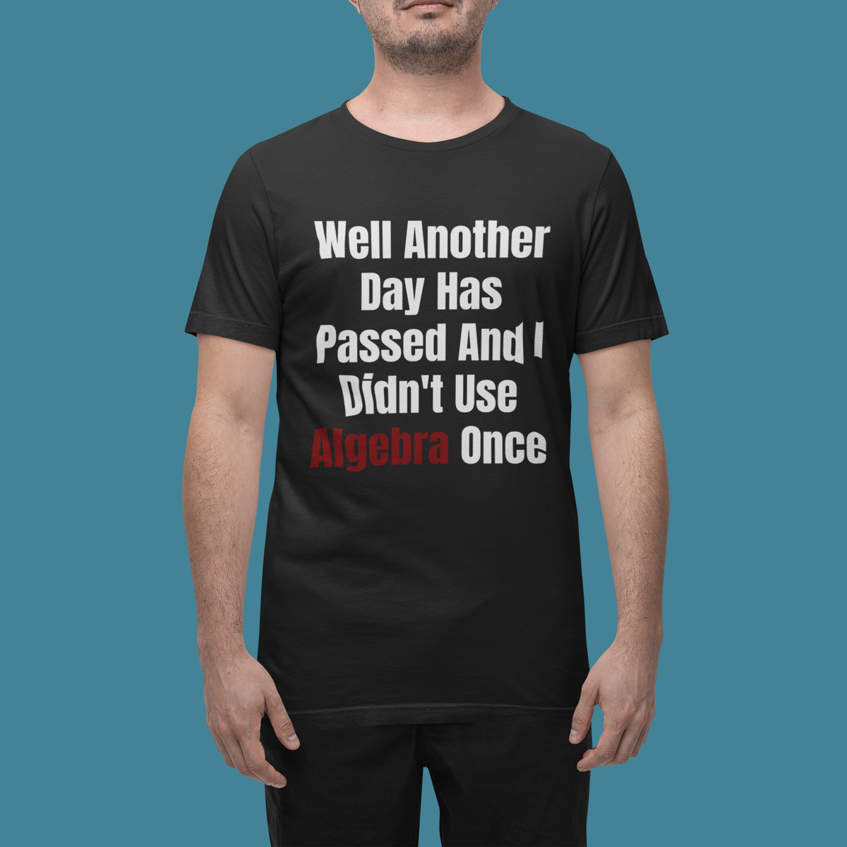"Well Another Day Has Passed And I Didn't Use Algebra Once" t-shirt in black, man on teal backdrop