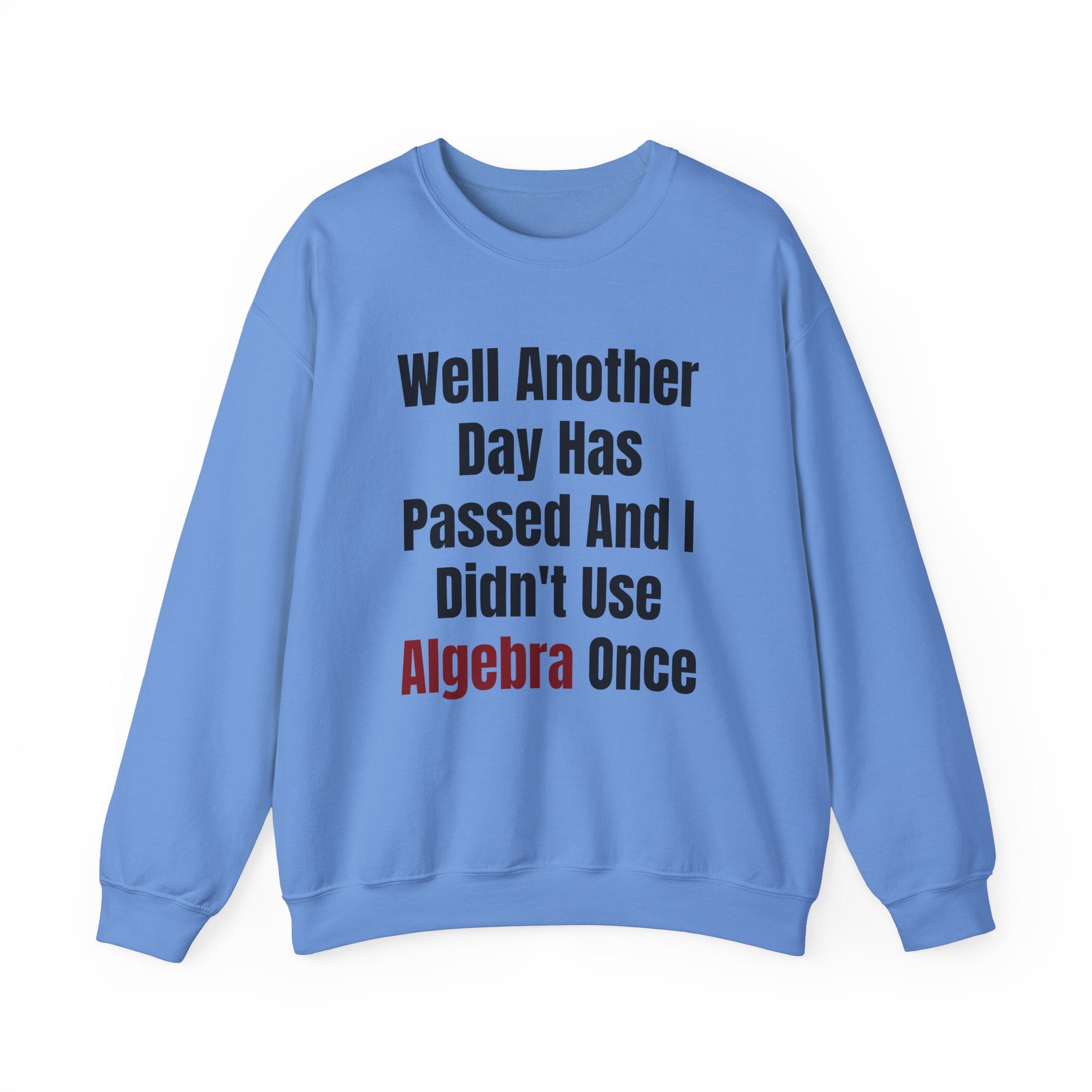 Well Another Day Has Passed - Sweatshirt