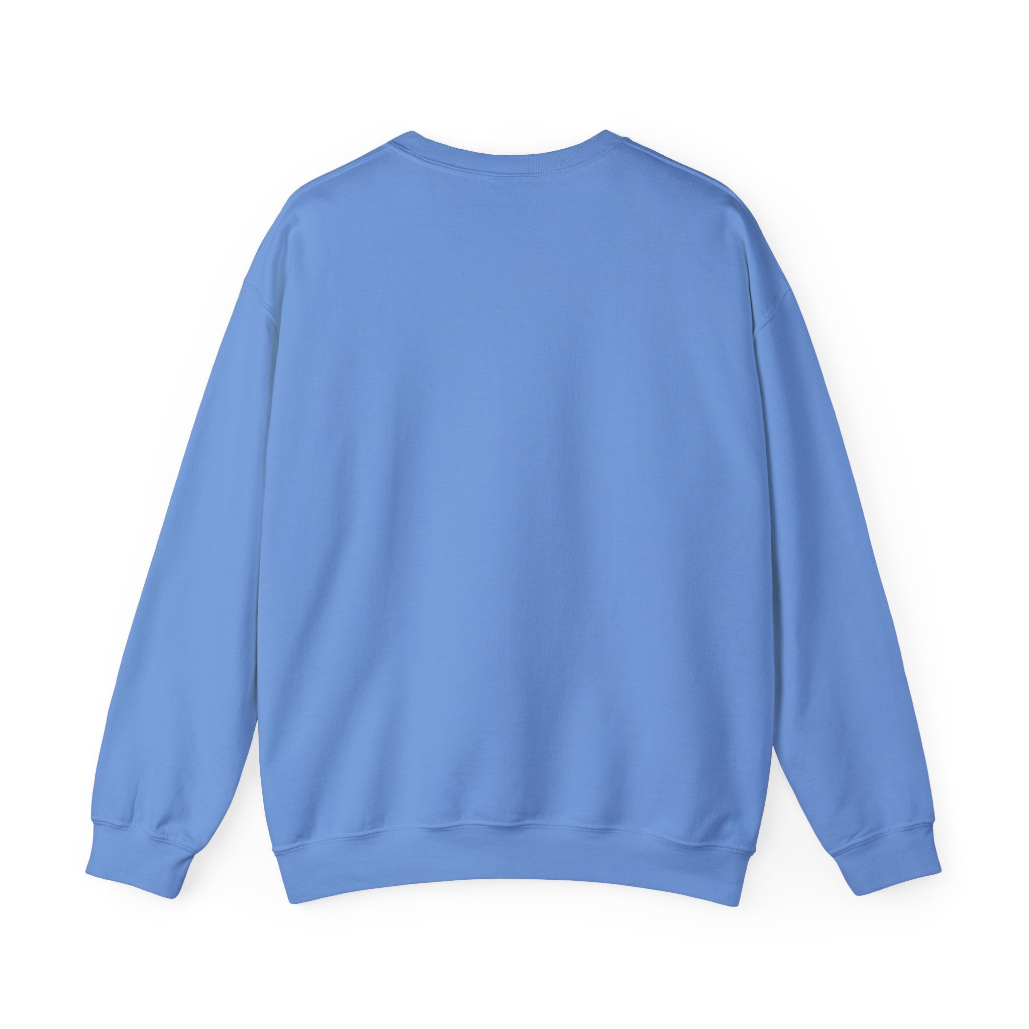 The Comments in code - Sweatshirt, a plain light blue crewneck made from sustainable cotton, is displayed from the back on a white background.