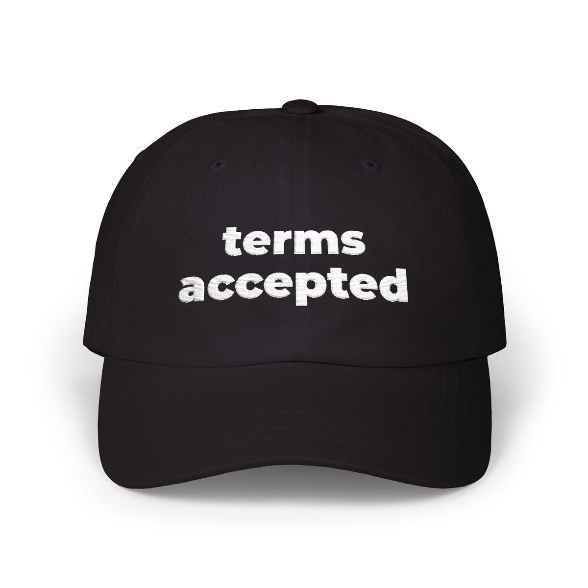 Terms Accepted Dad Cap