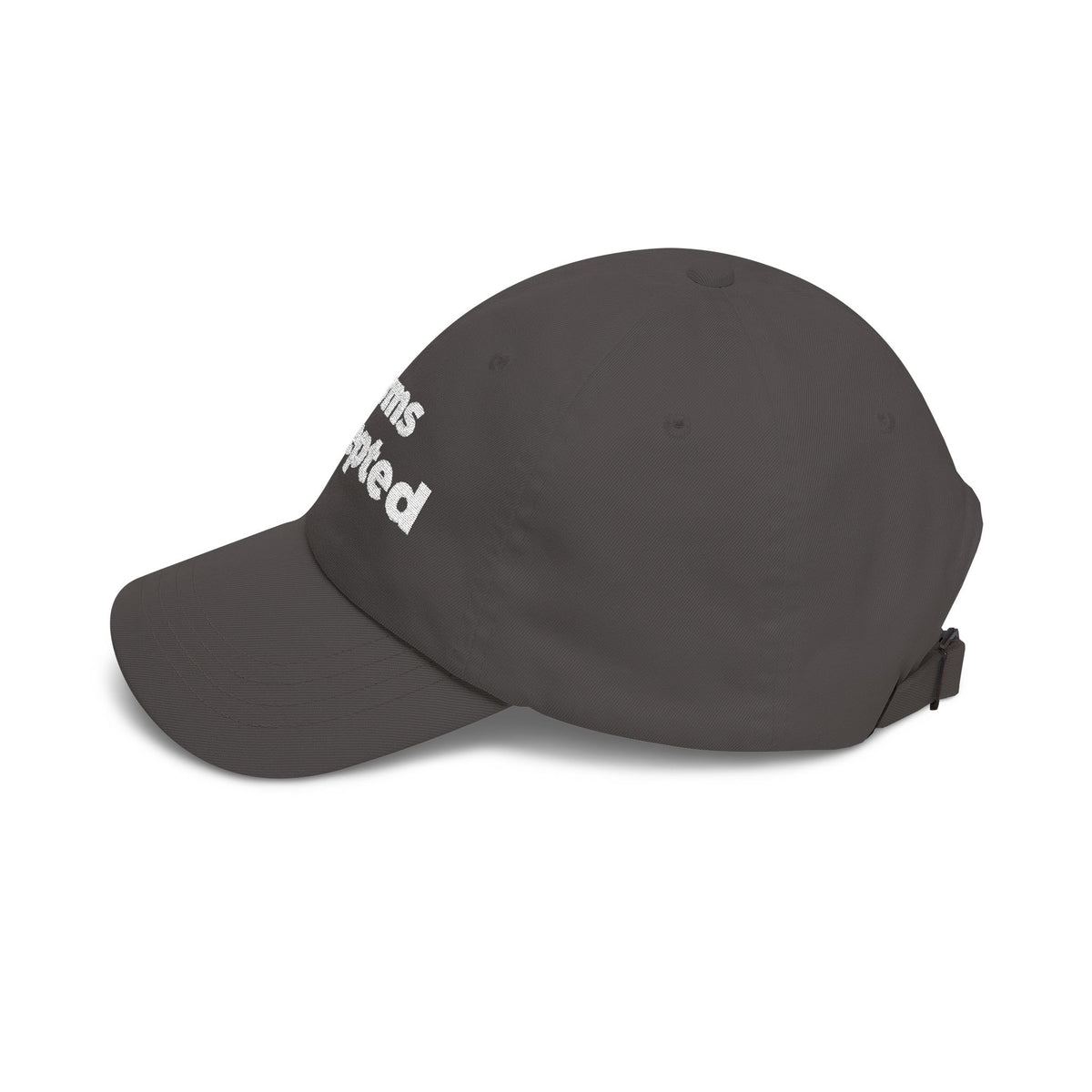Terms Accepted Dad Cap