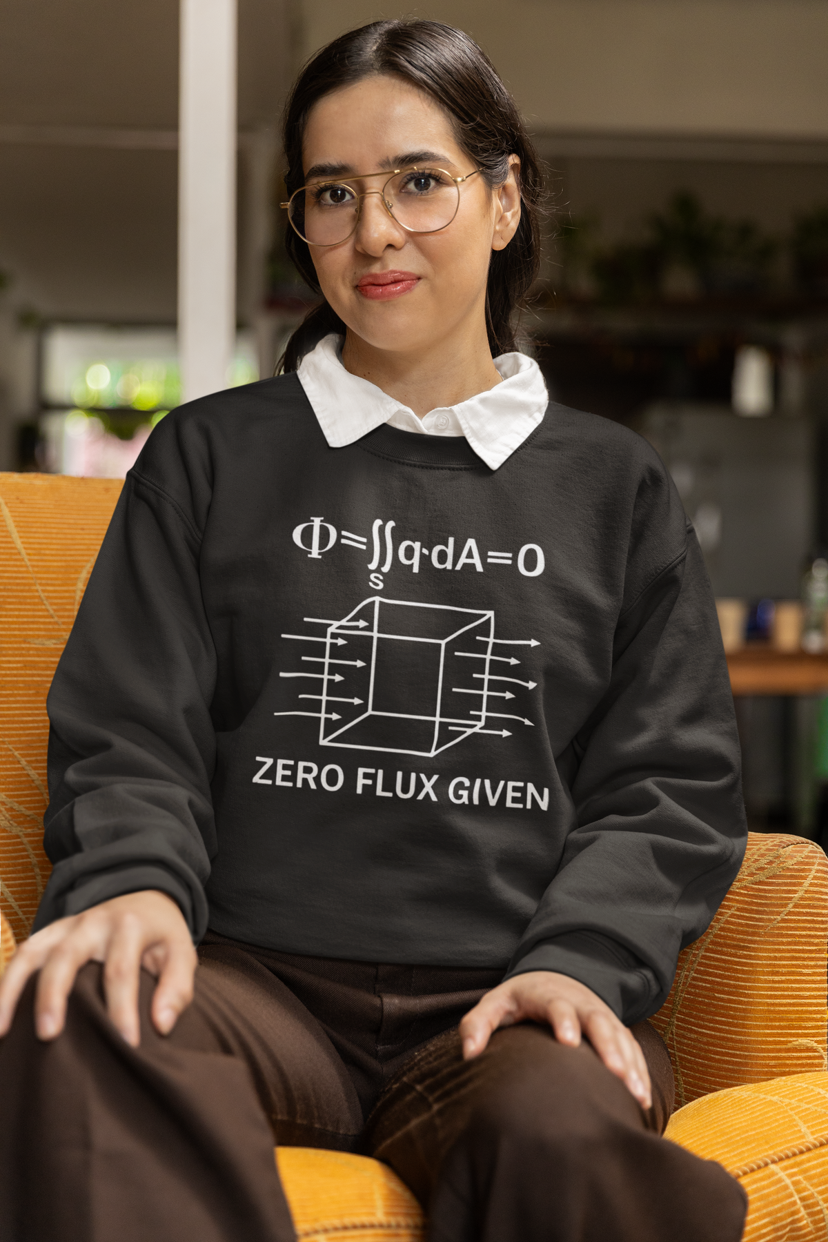 'Zero Flux Given' physics equation Sweatshirt in charcoal, woman wearing it indoors, science pun pullover