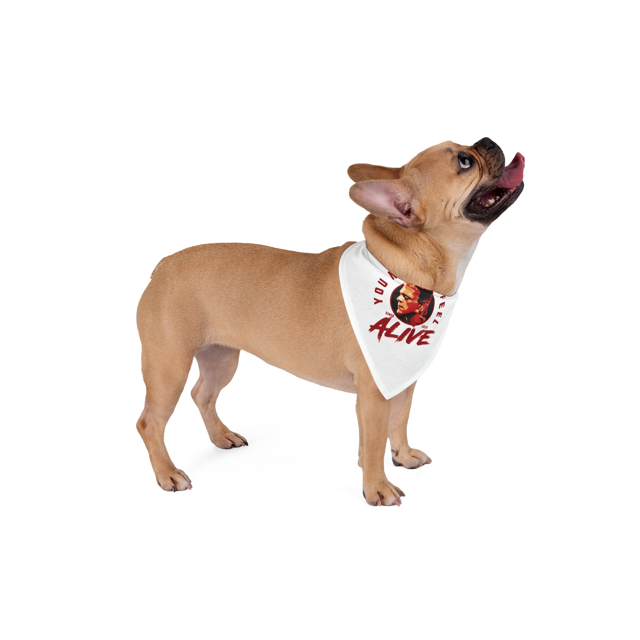 A tan French Bulldog stands and looks upward against a white background, wearing the Alive-Pet Bandana with "You Make Me Alive" and a graphic.