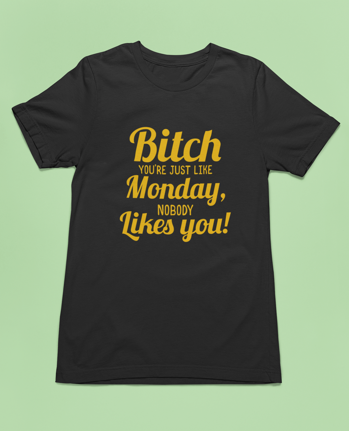 Nobody Likes Monday T-Shirt | Funny Savage Humor Tee | Sarcastic Gift for Coworkers | Geekpsters