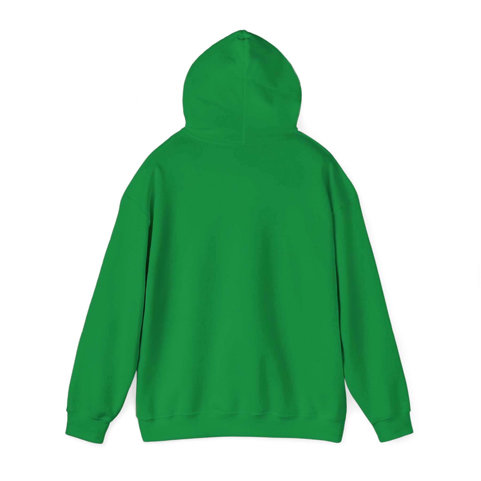 Zero Flux Given - Hooded Sweatshirt
