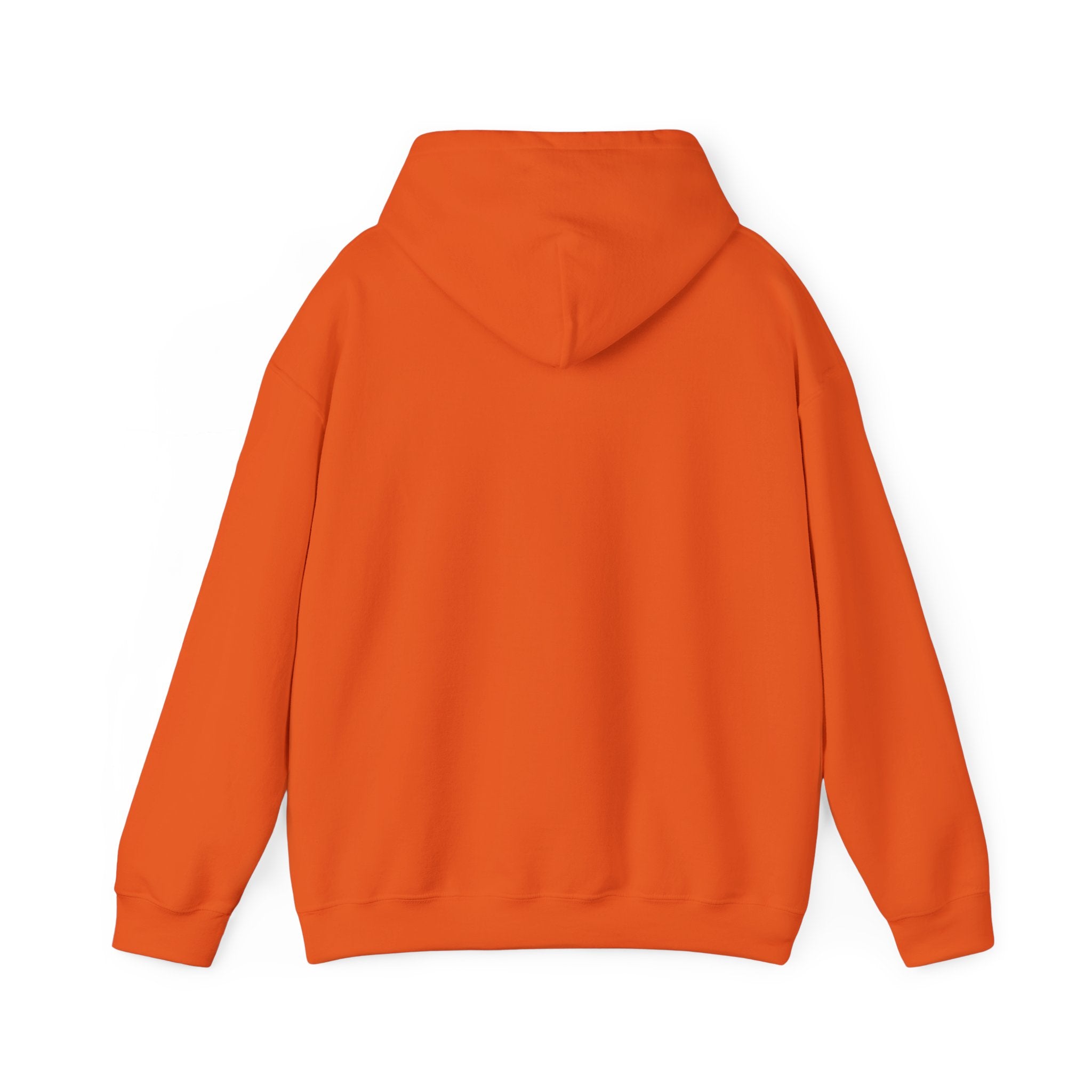 RMRF Problems" hooded sweatshirt in a classic fit, showcasing the back view on a white background.