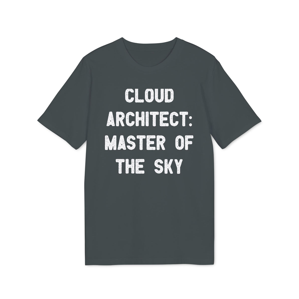 Cloud Architect, Master of the Sky Organic Tee
