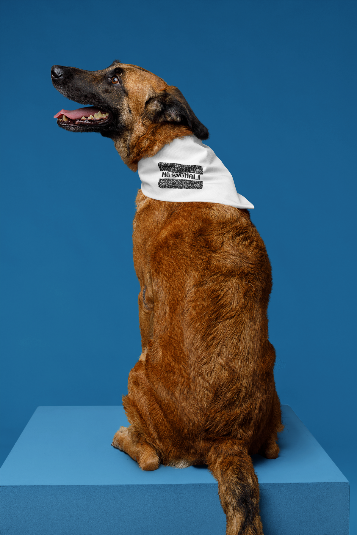 NO Signal Pet Bandana in white, dog wearing it against a blue backdrop, funny tech humor pet gift