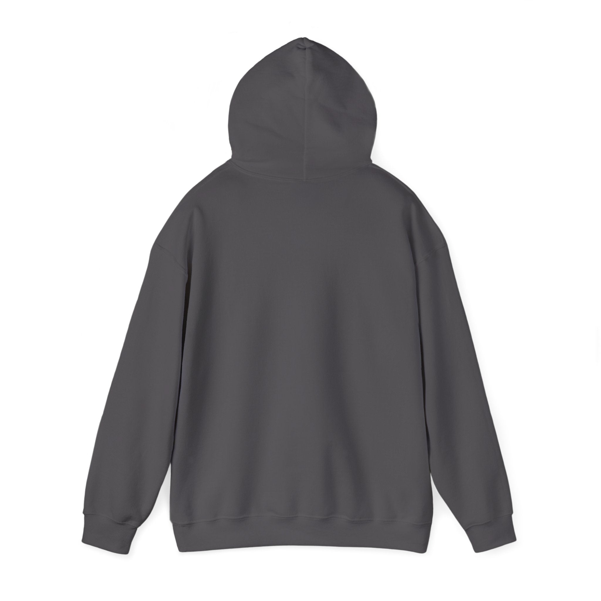 A back view of a plain, dark grey RU - Hooded Sweatshirt with long sleeves and ribbed cuffs, offering both comfort and style.