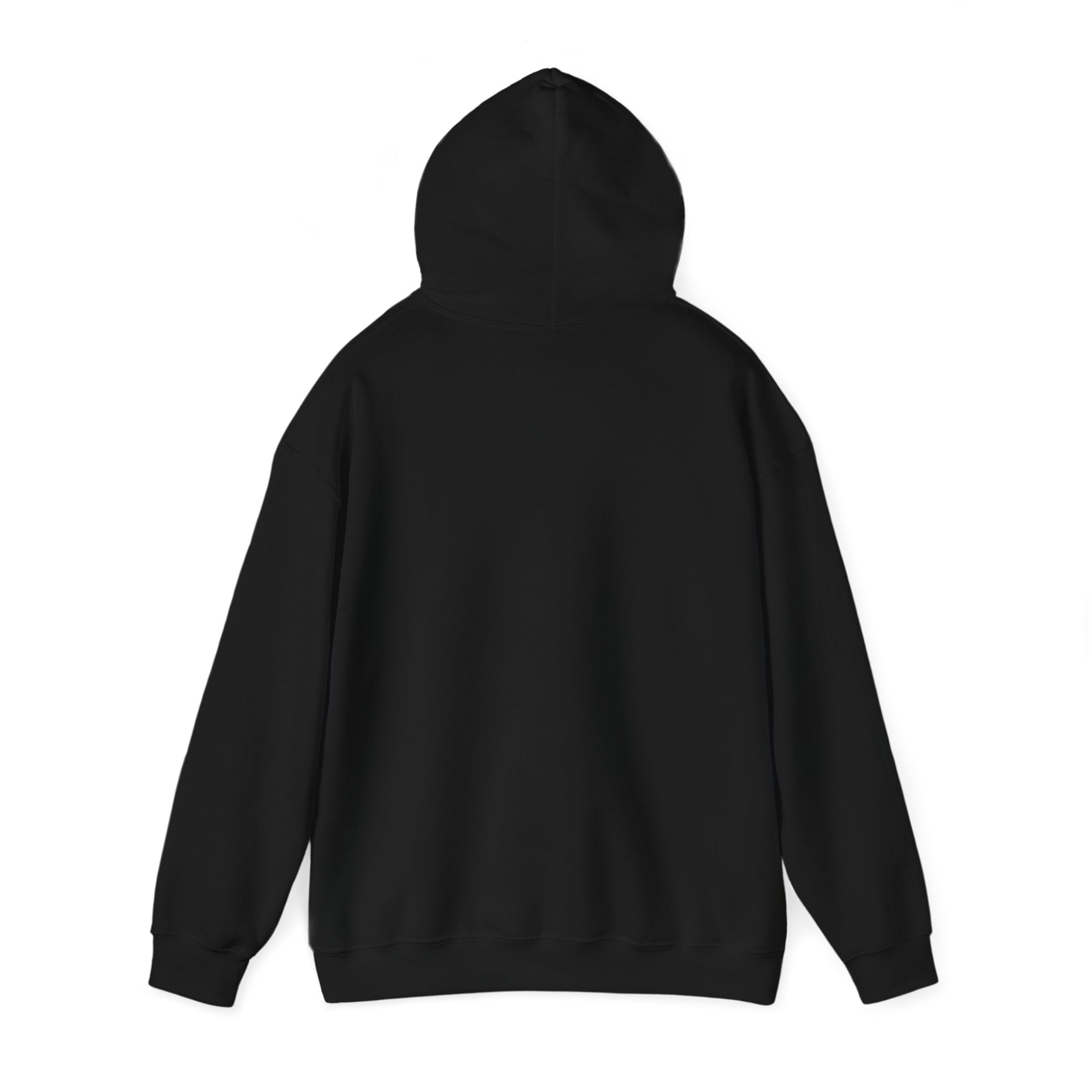 A plain black hooded sweatshirt is shown from the back, featuring a hood and long sleeves, perfect for everyday wear.