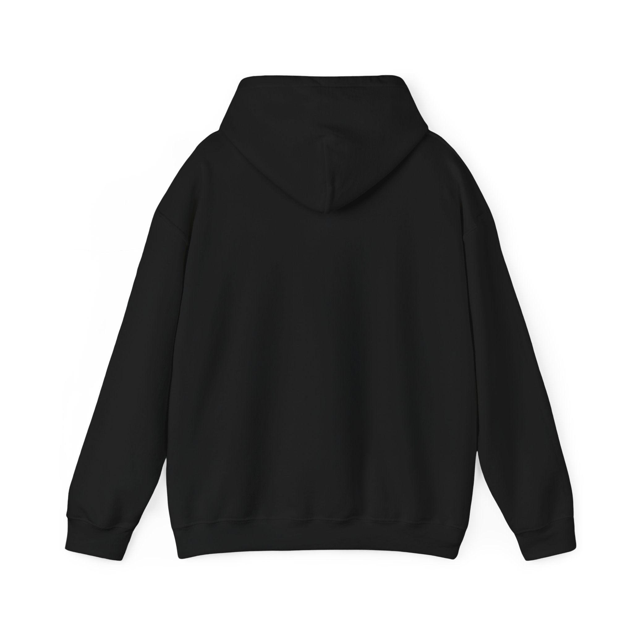 Back view of the RU - Hooded Sweatshirt in plain black, offering ultimate comfort with its hood and long sleeves, displayed on a white background.