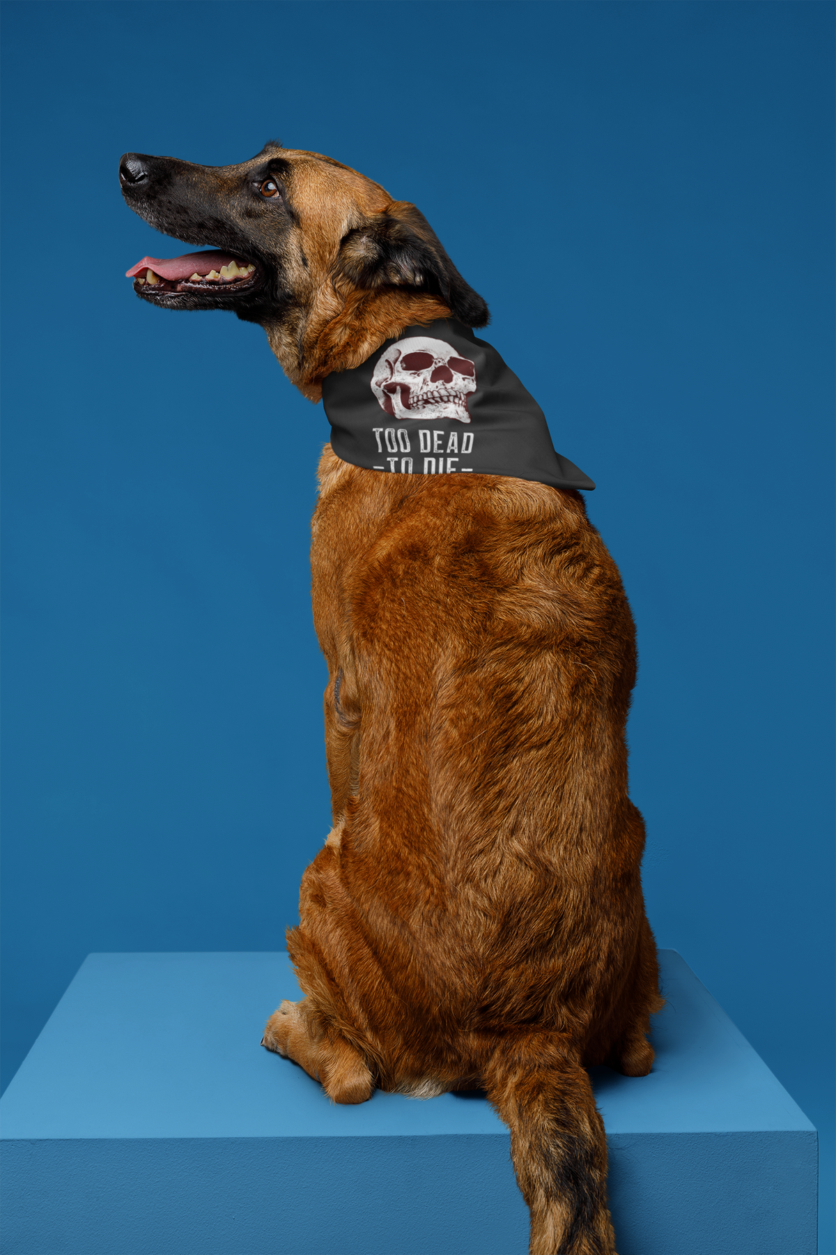 'Too Dead To Die' skull graphic pet bandana in black on a dog, blue backdrop, funny gothic dog gift