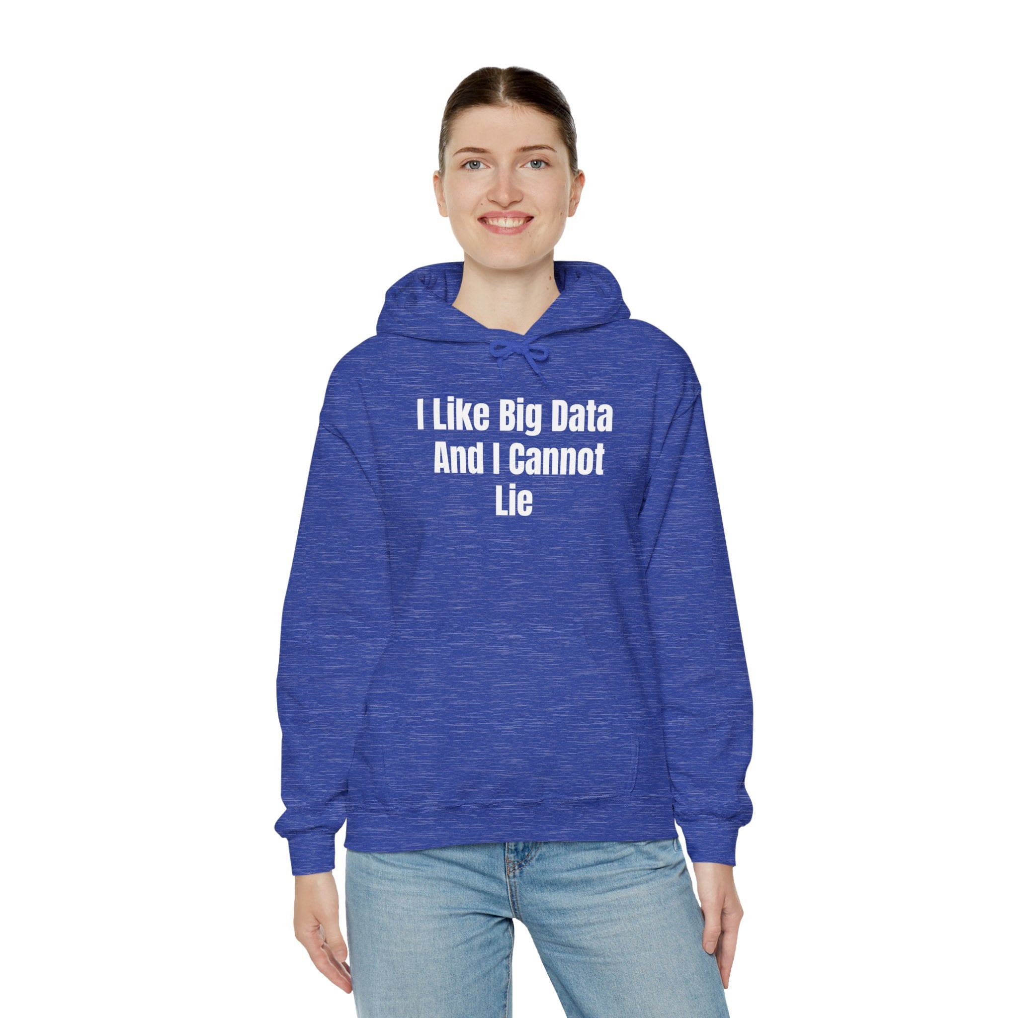 I Like Big Data And I Cannot Lie - Hooded Sweatshirt