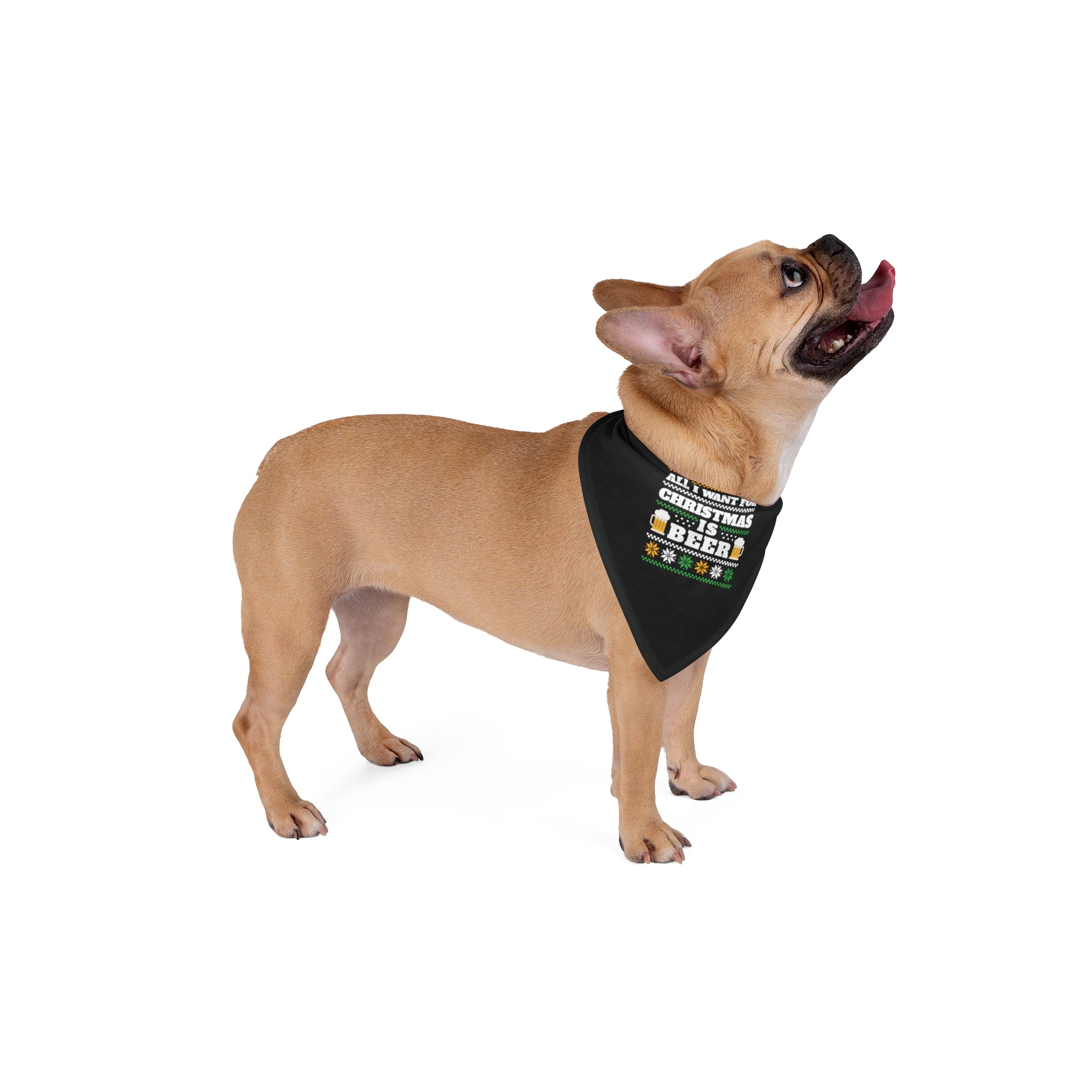 A tan-colored French Bulldog stands looking upward, wearing a black Beer Ugly Sweater - Pet Bandana made from soft-spun polyester, adorned with text and colorful graphics.