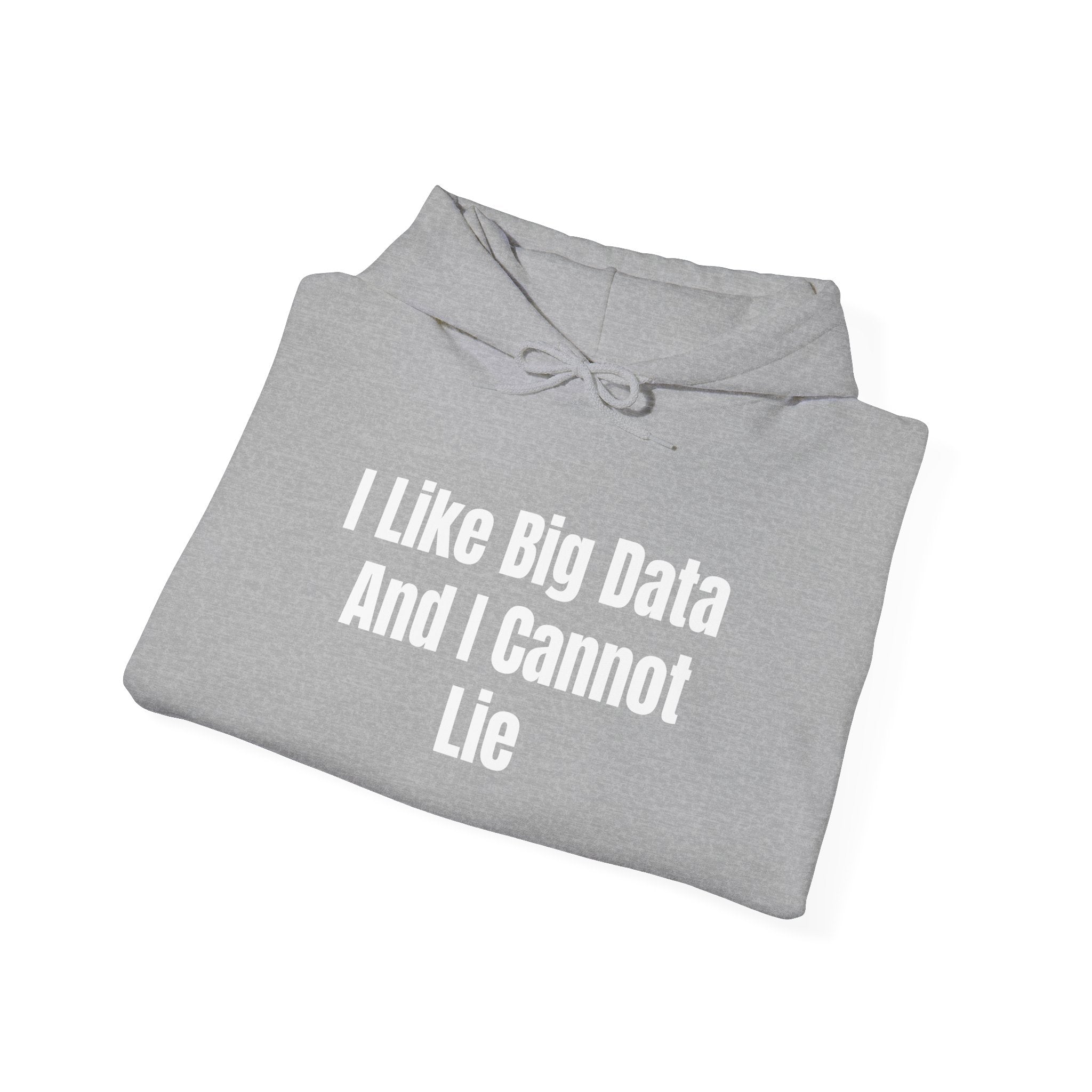 I Like Big Data And I Cannot Lie - Hooded Sweatshirt